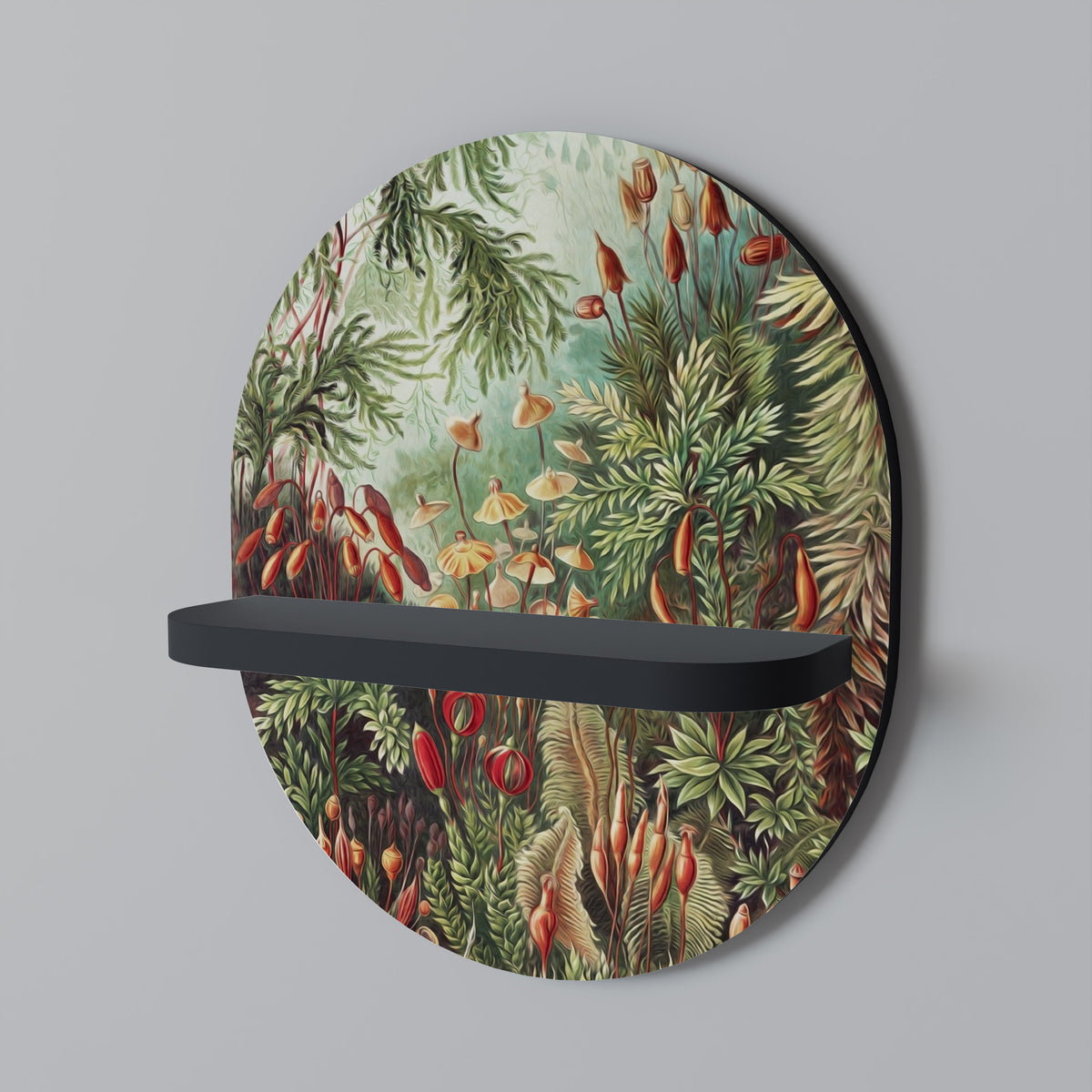 MUSCINAE LAUBMOOSE Art Shelf