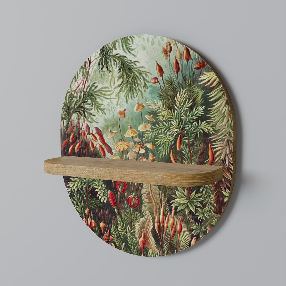 MUSCINAE LAUBMOOSE Art Shelf