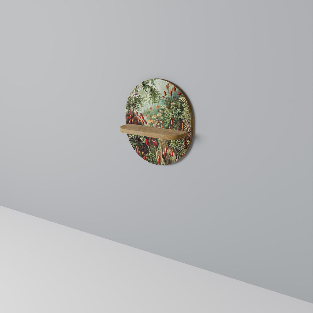 Étagère d'art ovale MUSCINAE LAUBMOOSE effet chêne