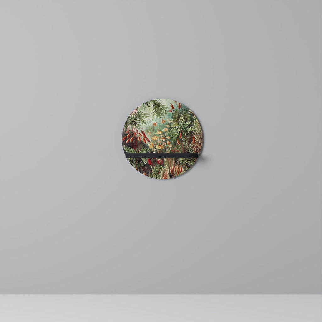 MUSCINAE LAUBMOOSE Round Art Shelf In Black Finish