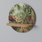 MUSCINAE LAUBMOOSE Art Shelf