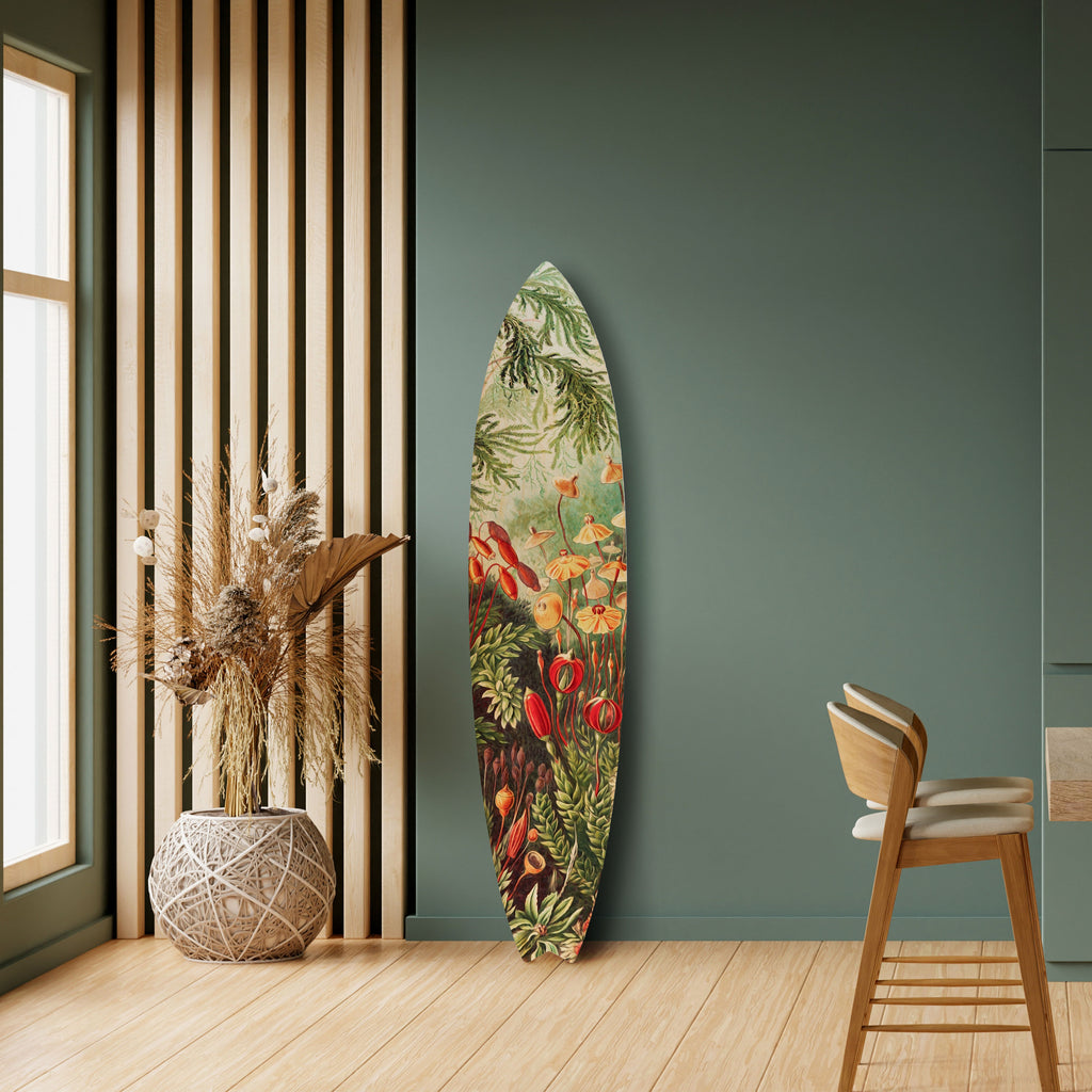 MUSCINAE LAUBMOOSE Surfboard Decorative Panel