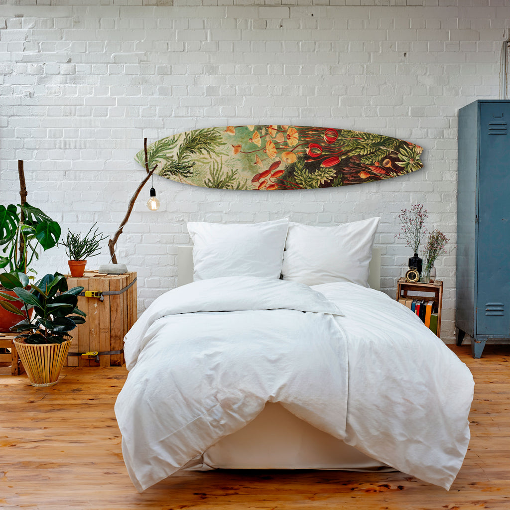 MUSCINAE LAUBMOOSE Surfboard Decorative Panel