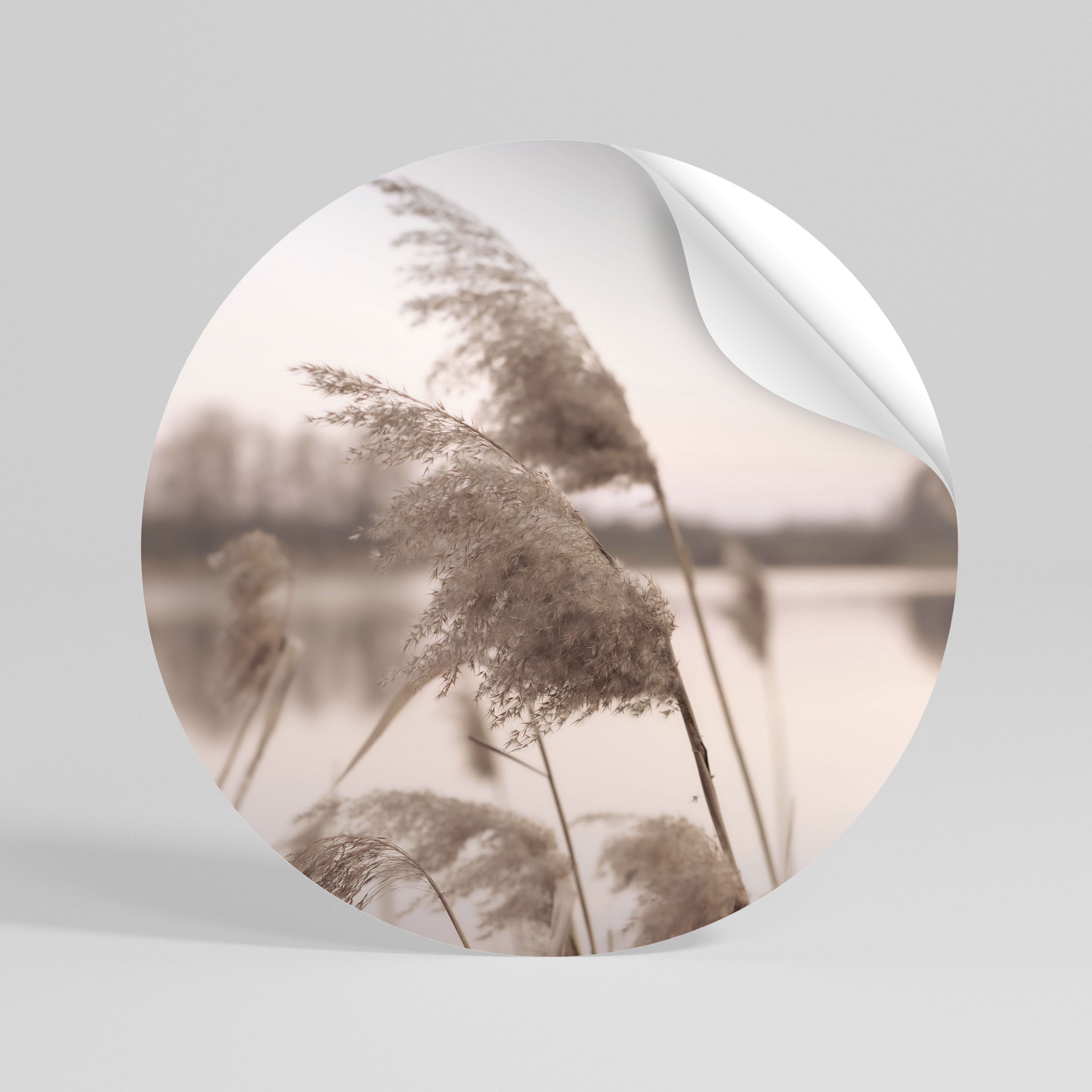 GENTLE BREEZE Peel and Stick Round Sticker