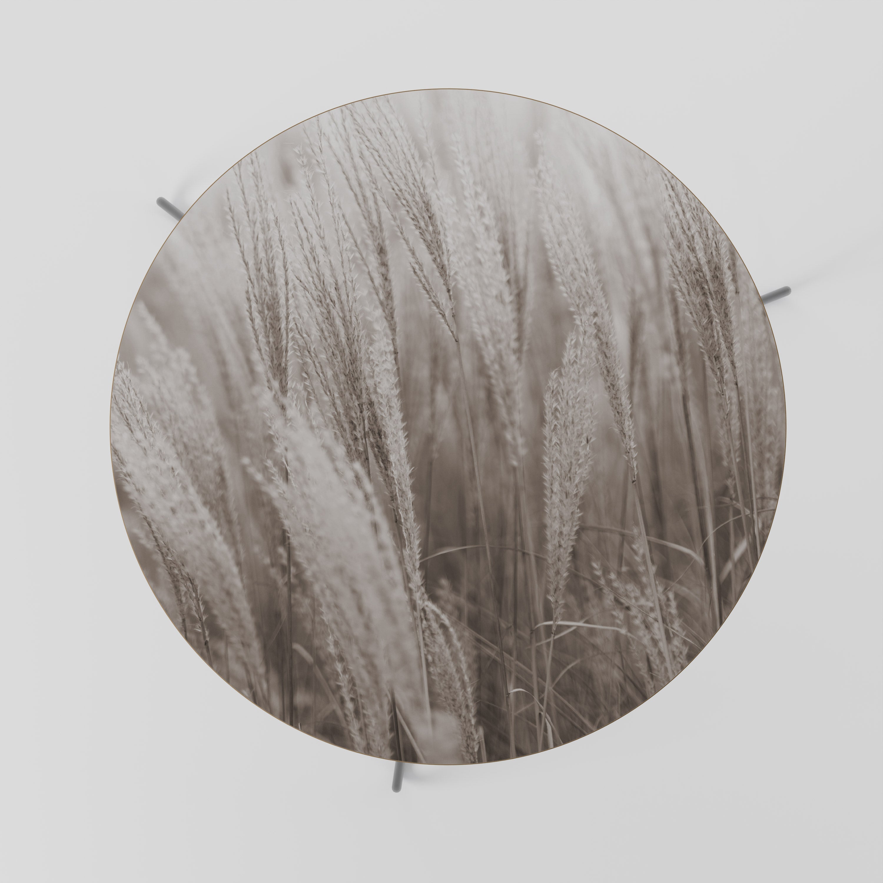 Table basse WHISPERS OF GRASS 69