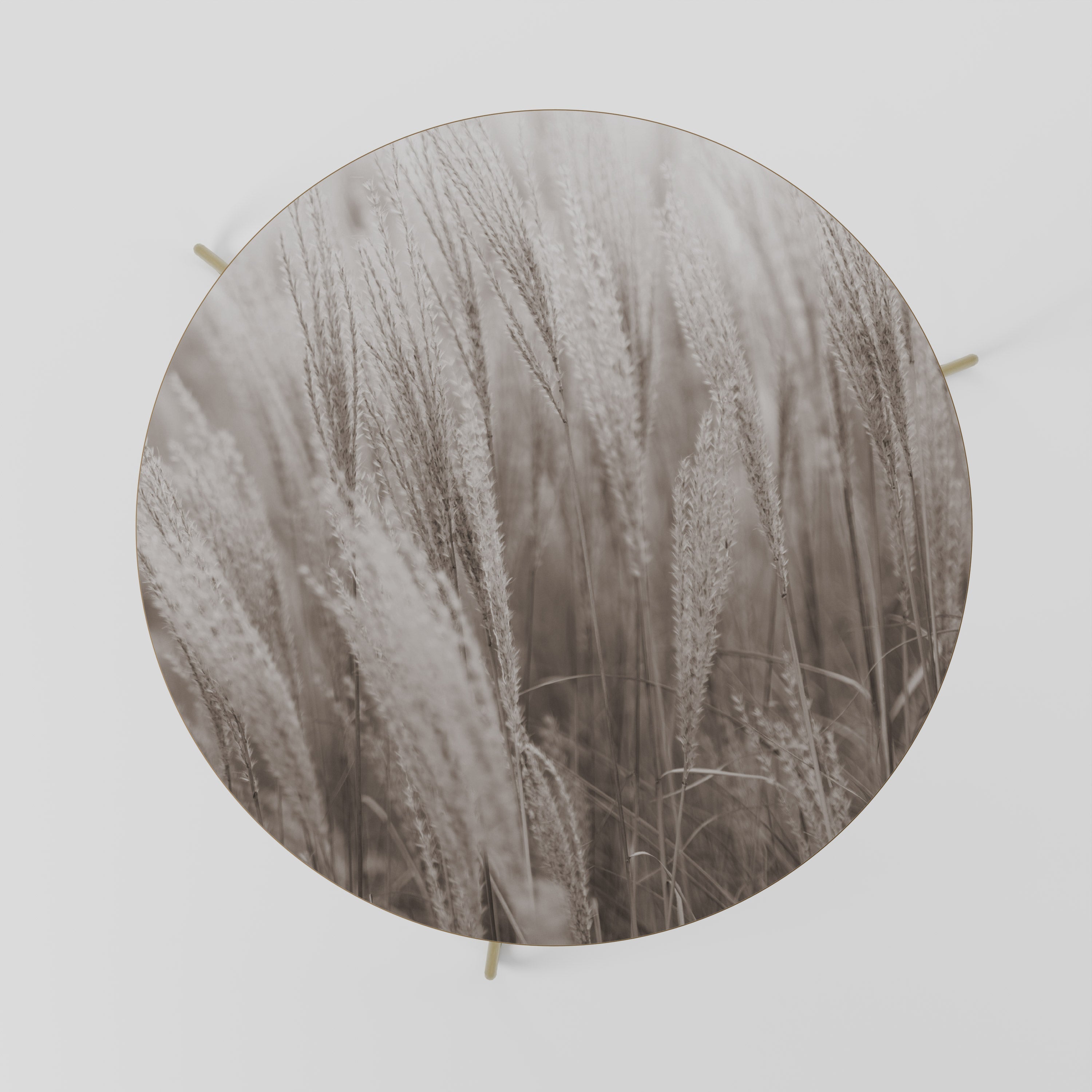 Table basse WHISPERS OF GRASS 69