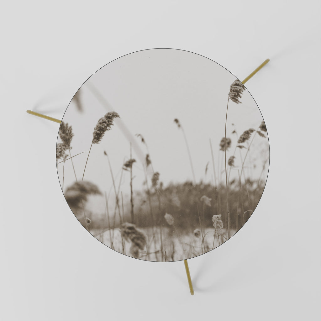 TIMELESS TUSSOCKS Coffee Table 60