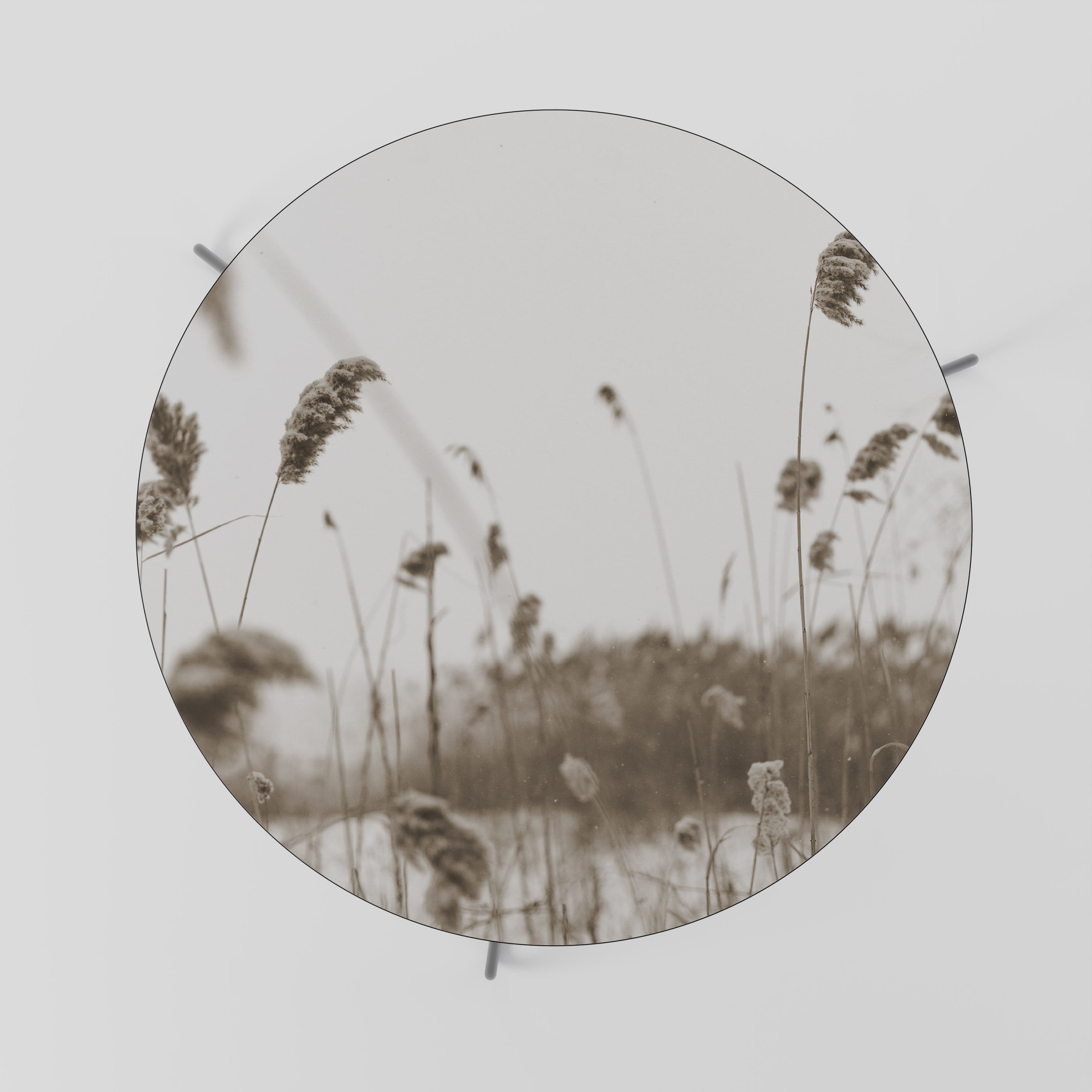 Table basse TUSSOCKS INTEMPORELLE 69