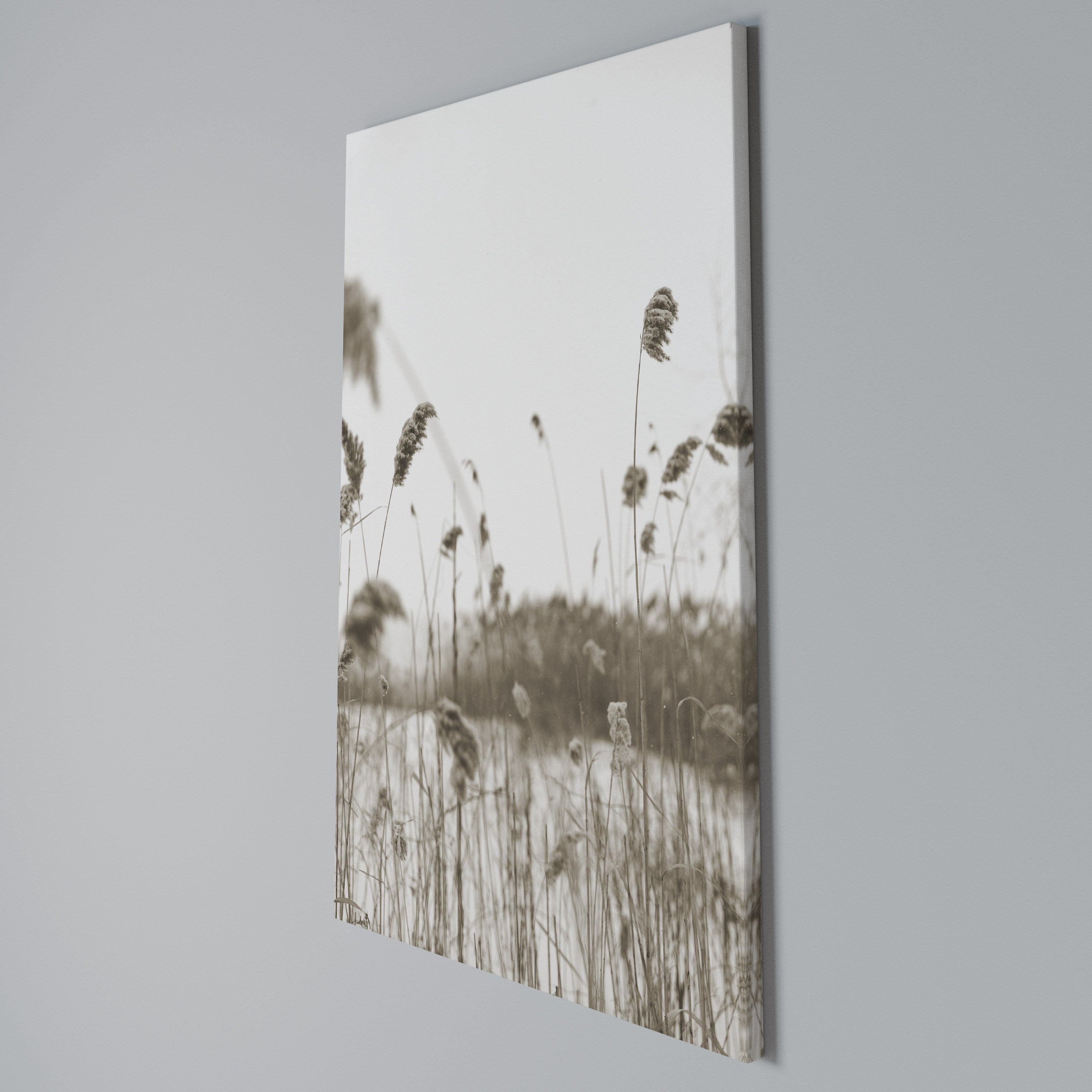 TIMELESS TUSSOCKS Vertical Canvas Print