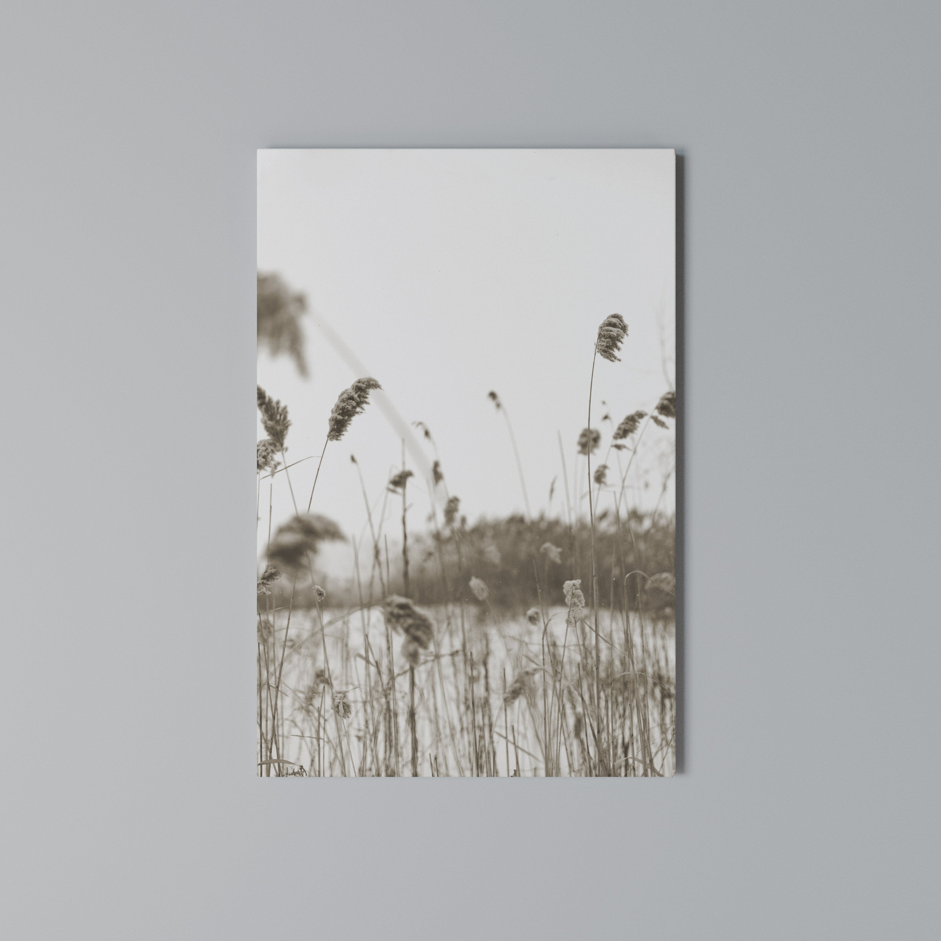 TIMELESS TUSSOCKS Vertical Canvas Print
