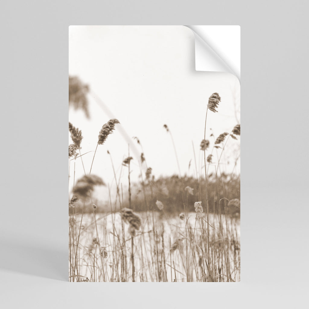 Affiche verticale autocollante TIMELESS TUSSOCKS