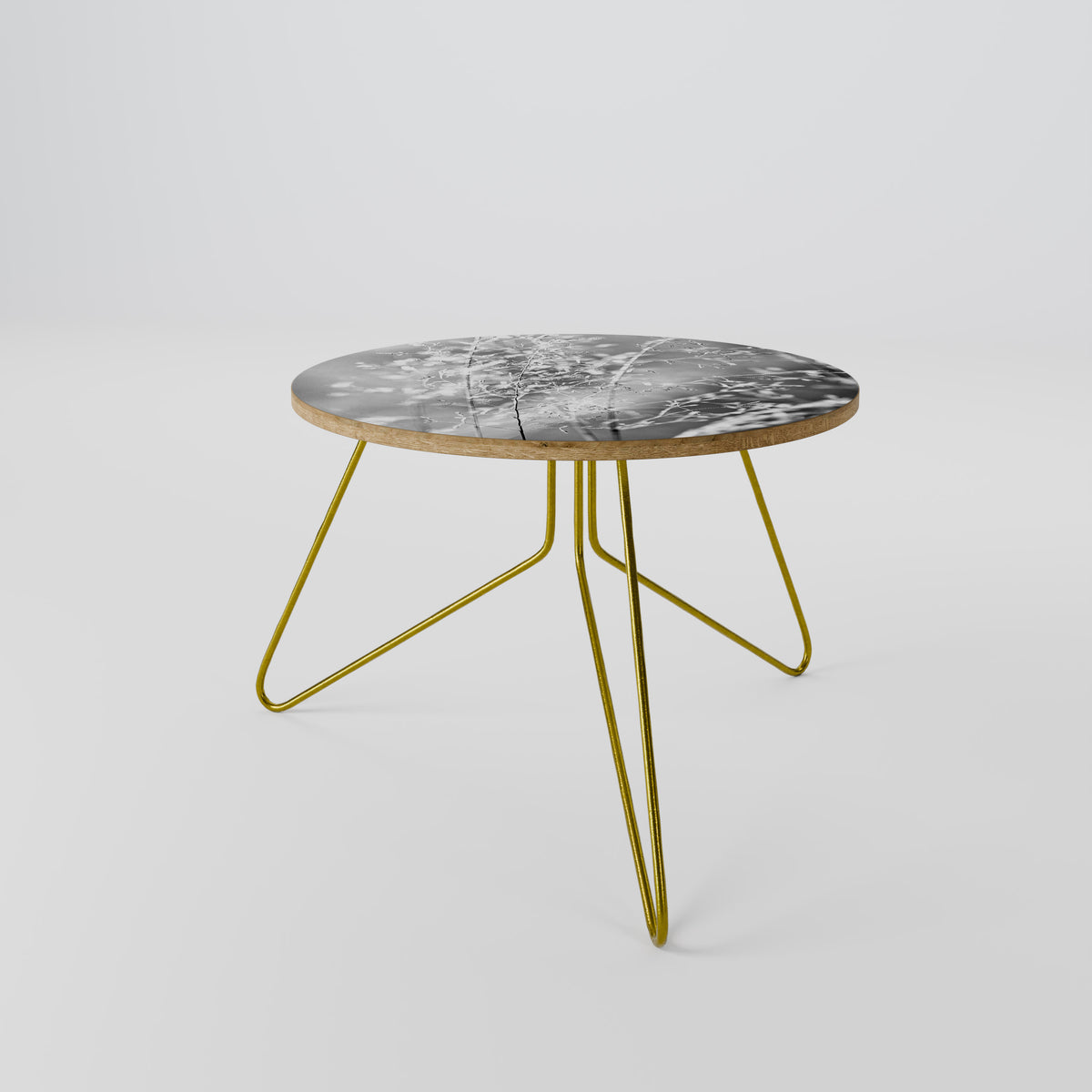 LIGHTSWEPT HARMONY Coffee Table