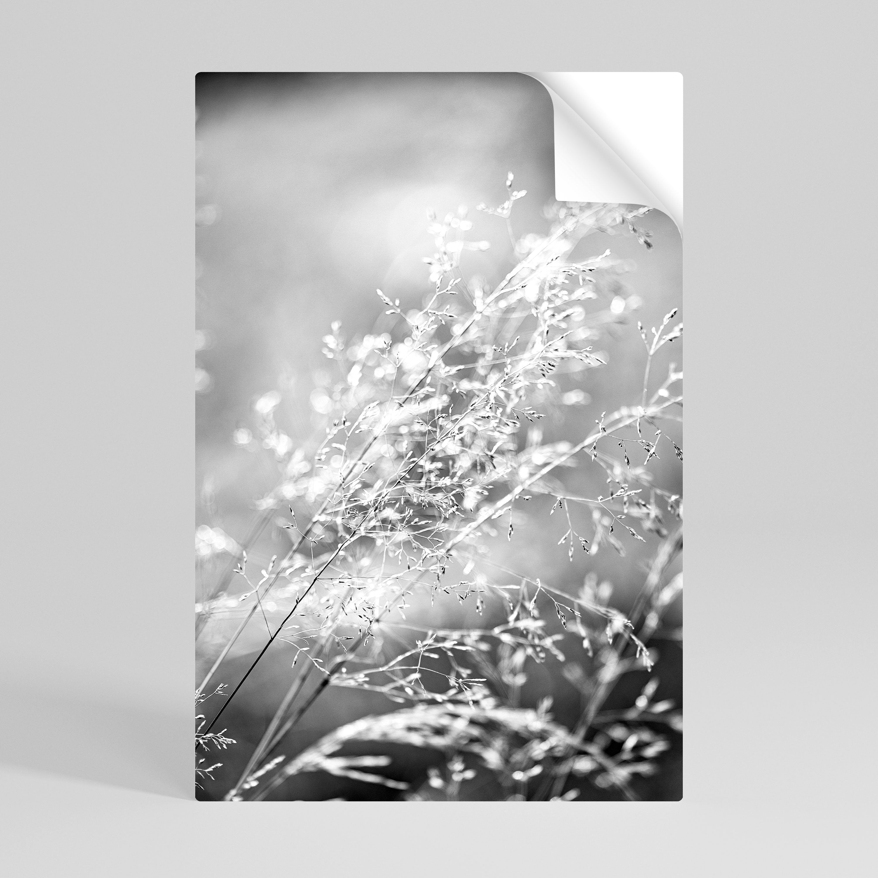 Affiche verticale autocollante LIGHTSWEPT HARMONY