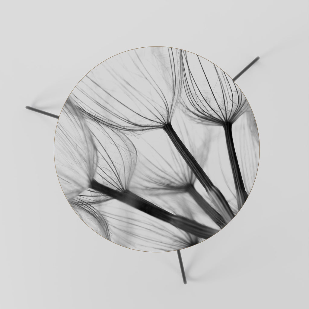 SILKEN FLIGHT Coffee Table 60