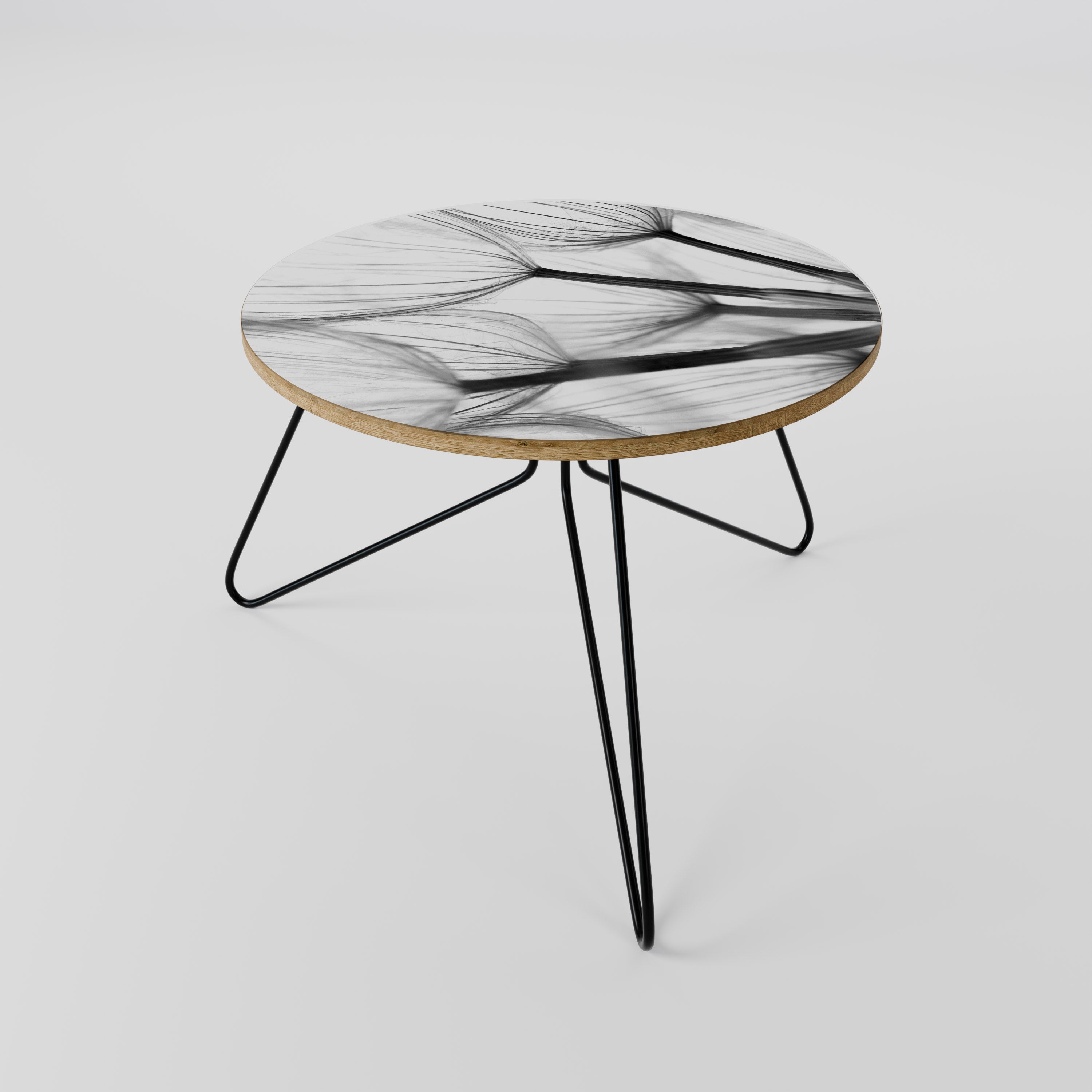 SILKEN FLIGHT Coffee Table