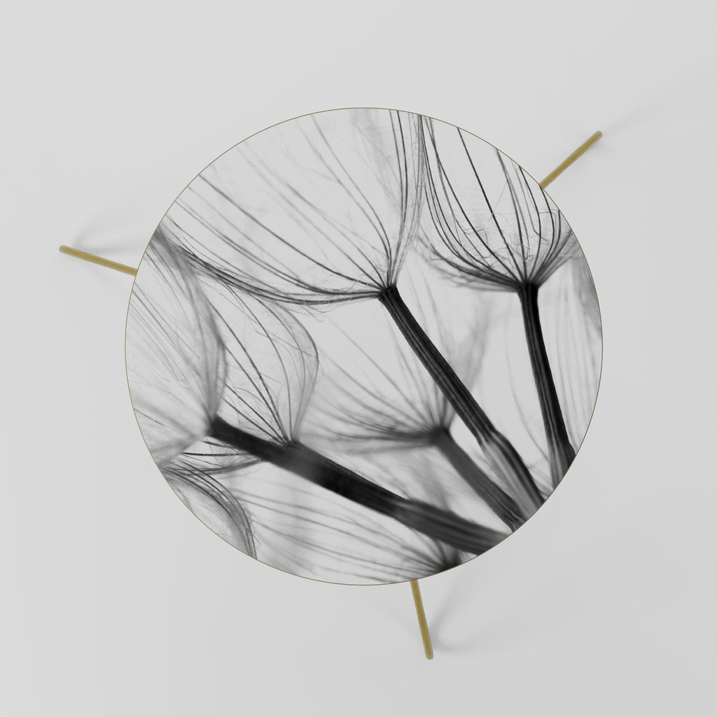 SILKEN FLIGHT Coffee Table 60