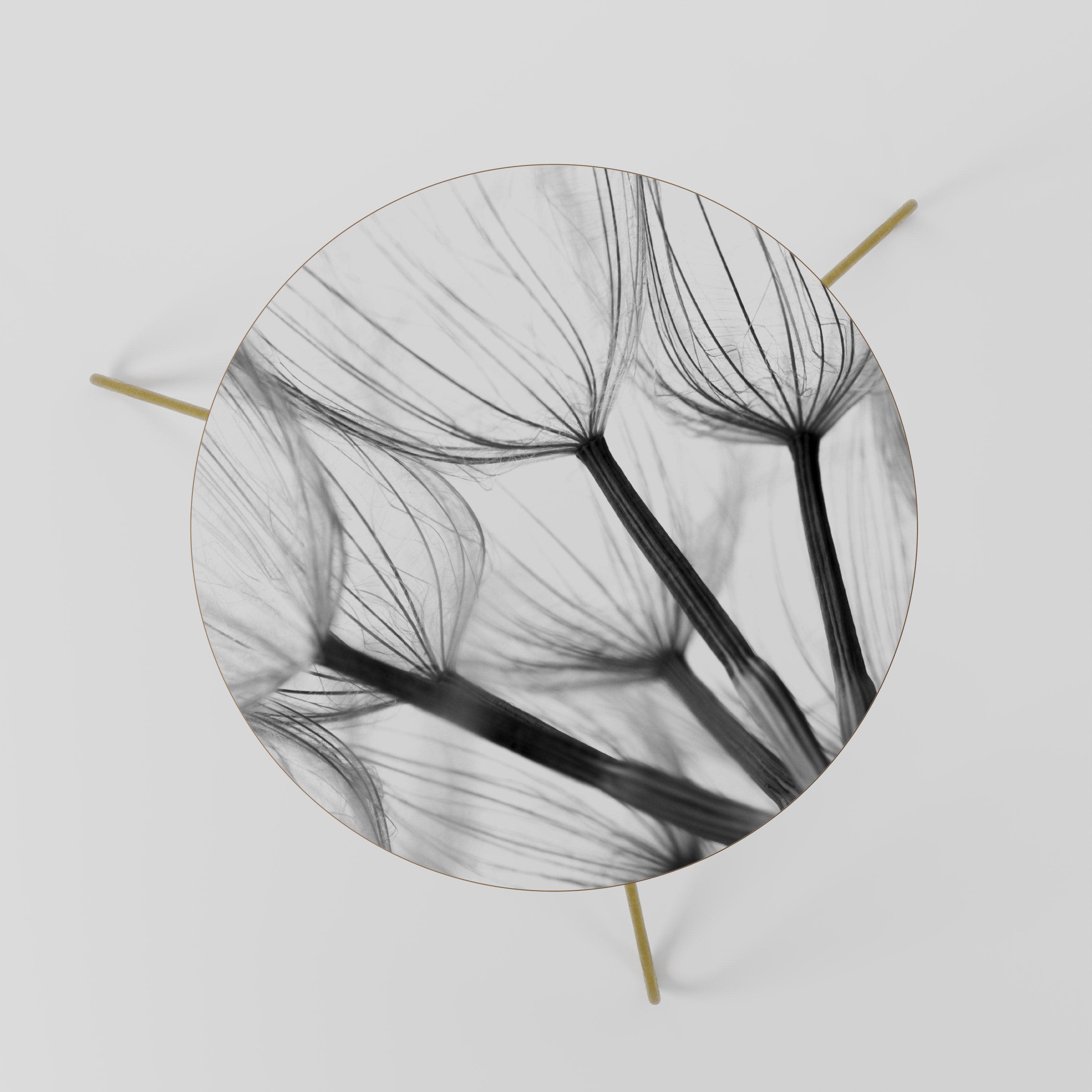 SILKEN FLIGHT Coffee Table 60