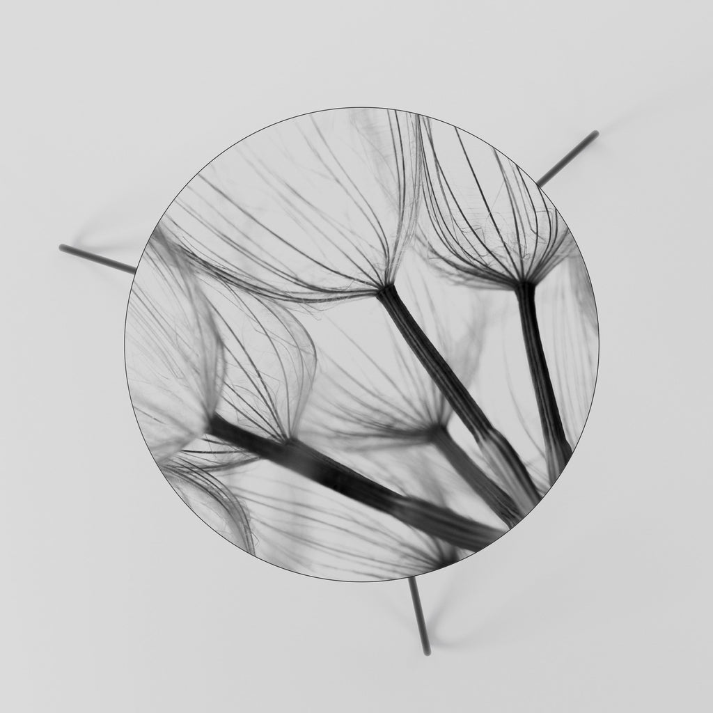 SILKEN FLIGHT Coffee Table 60