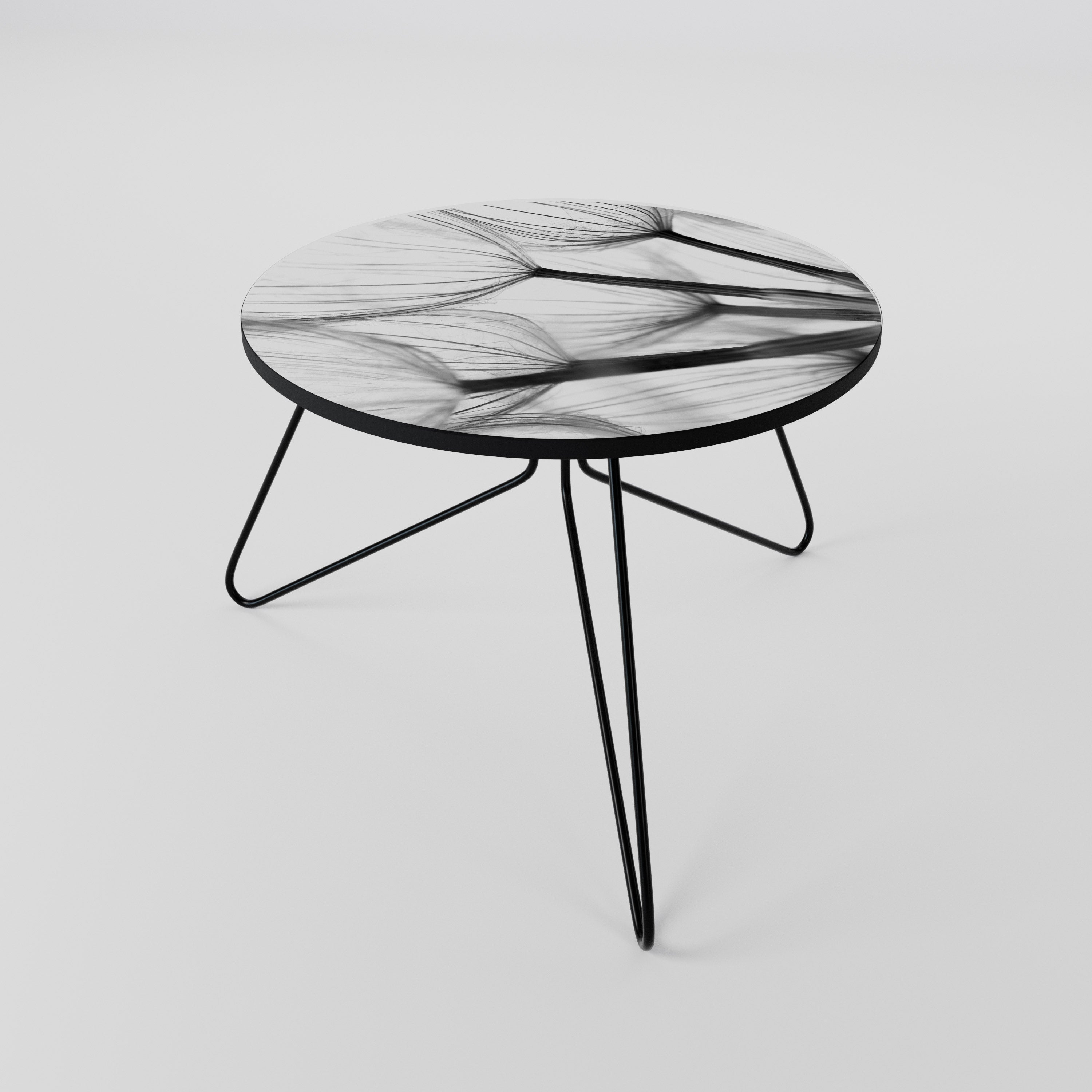 SILKEN FLIGHT Coffee Table