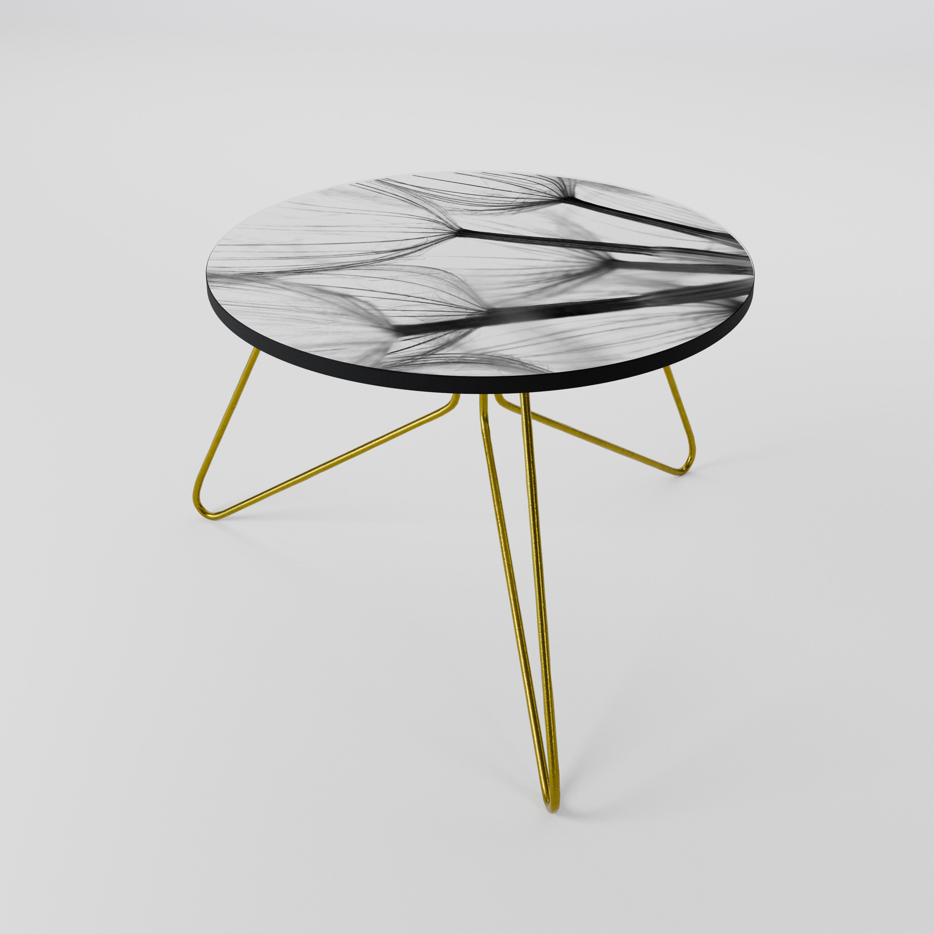 SILKEN FLIGHT Coffee Table