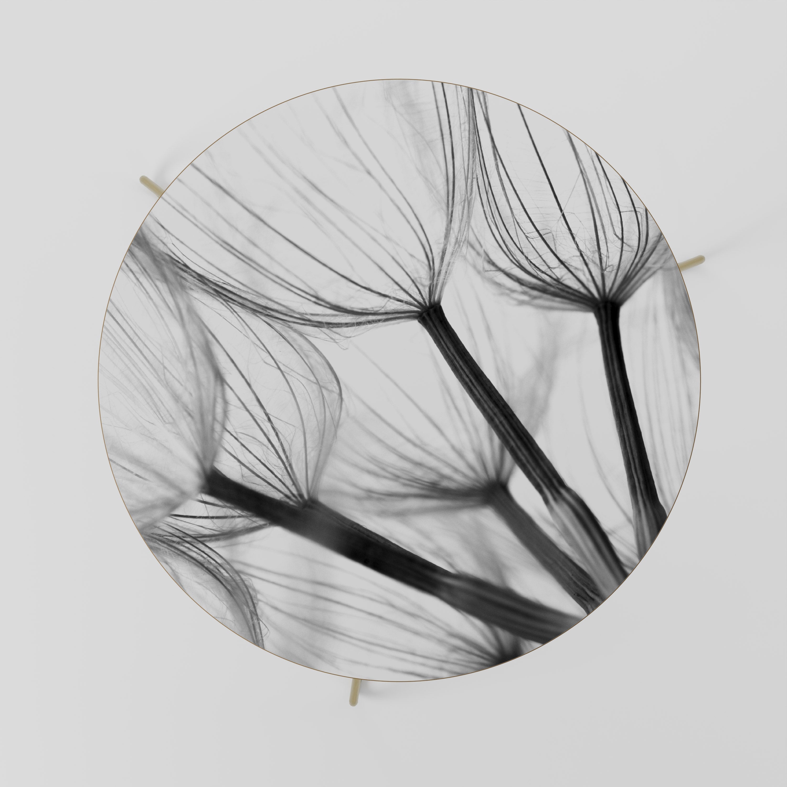 Table basse SILKEN FLIGHT 69