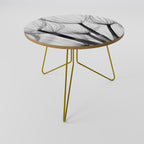 SILKEN FLIGHT Coffee Table