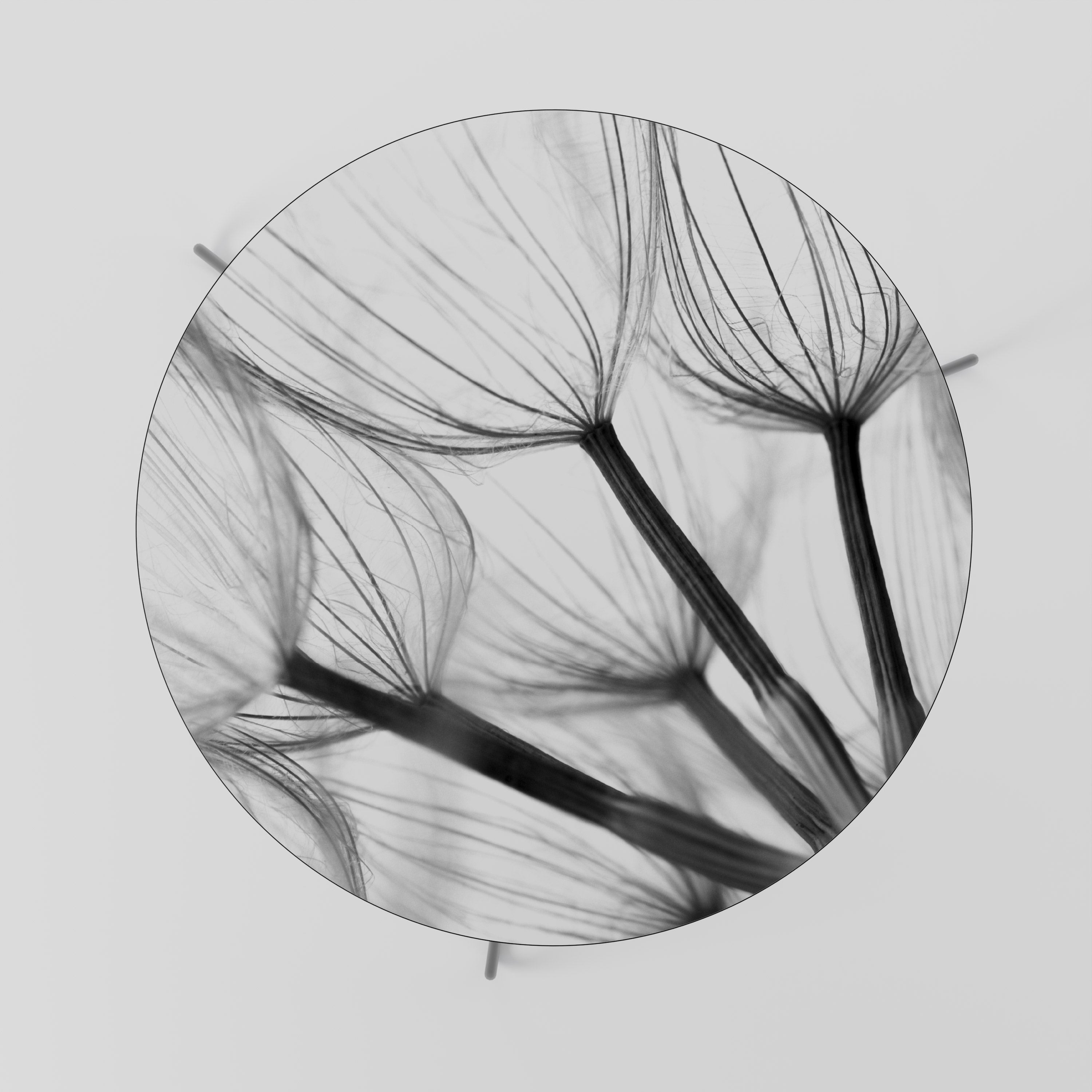 Table basse SILKEN FLIGHT 69