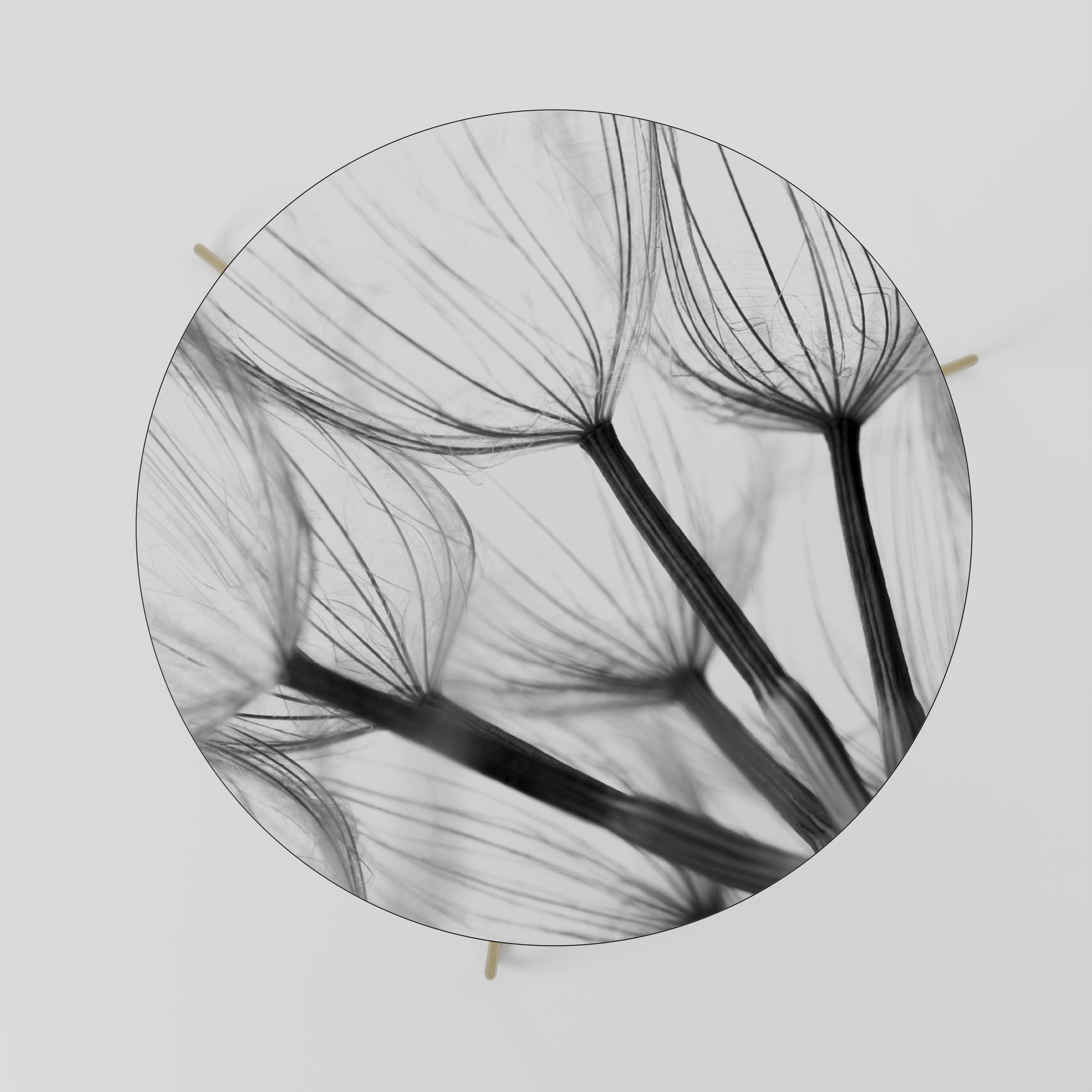 Table basse SILKEN FLIGHT 69