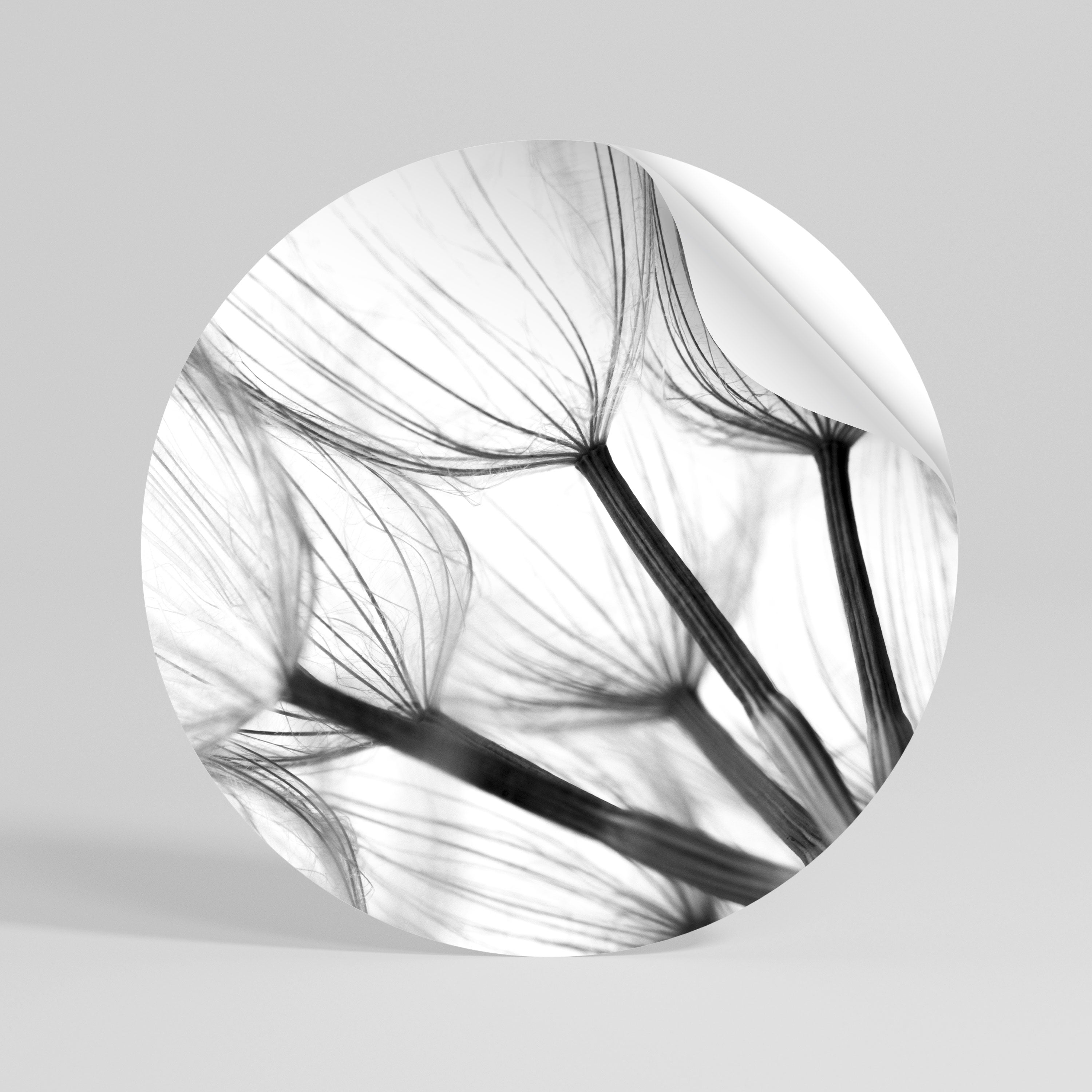 SILKEN FLIGHT Peel and Stick Round Sticker