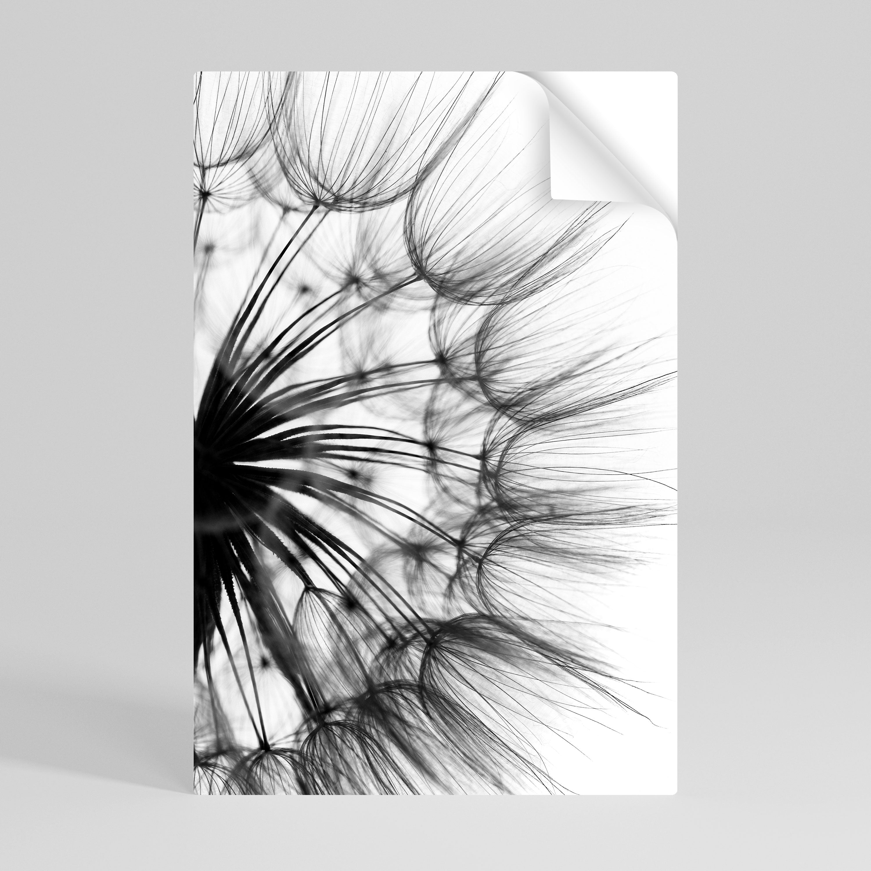 Affiche verticale autocollante « FLEURS SAUVAGES CHUCHOTANTES »