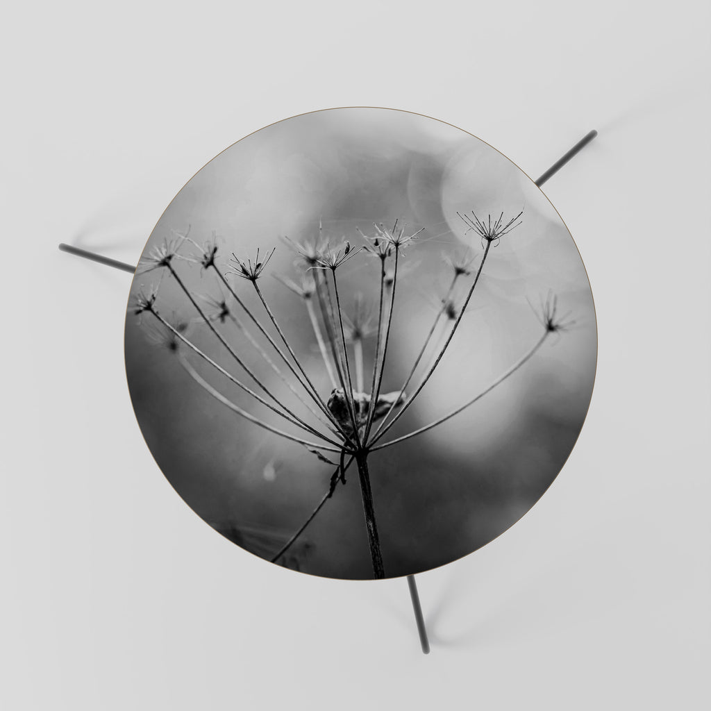 MINIMALIST BLOOM Coffee Table 60