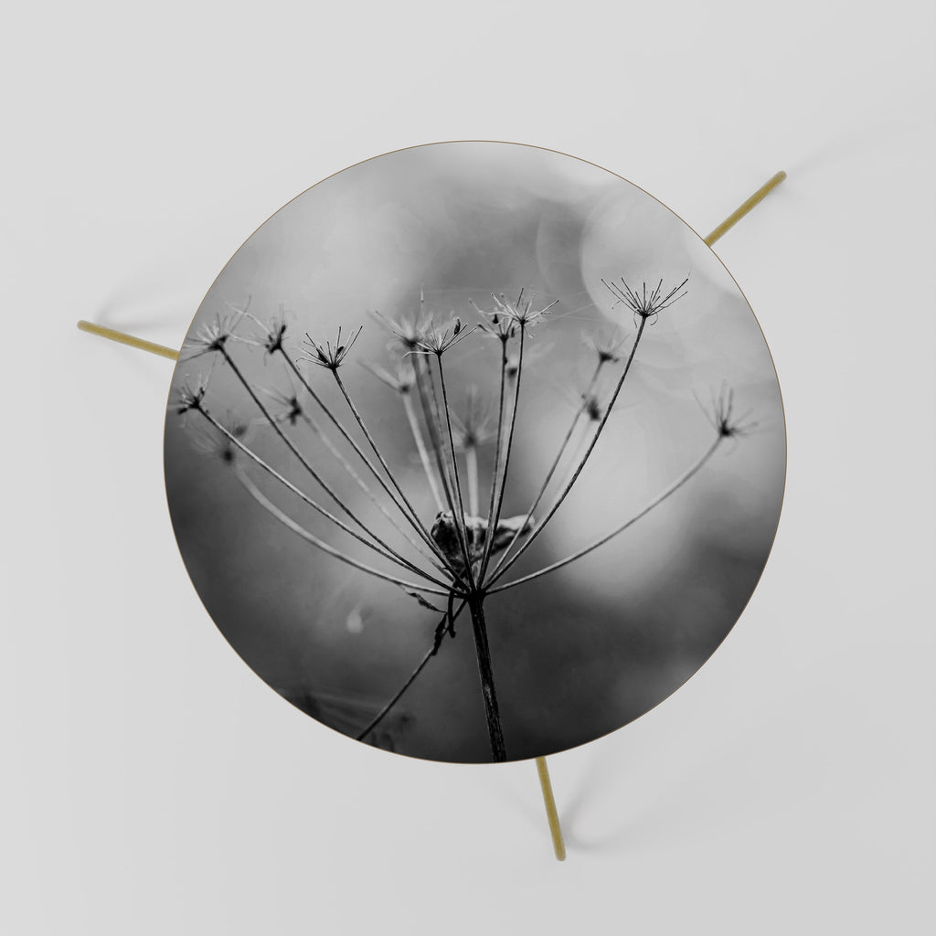 MINIMALIST BLOOM Coffee Table 60