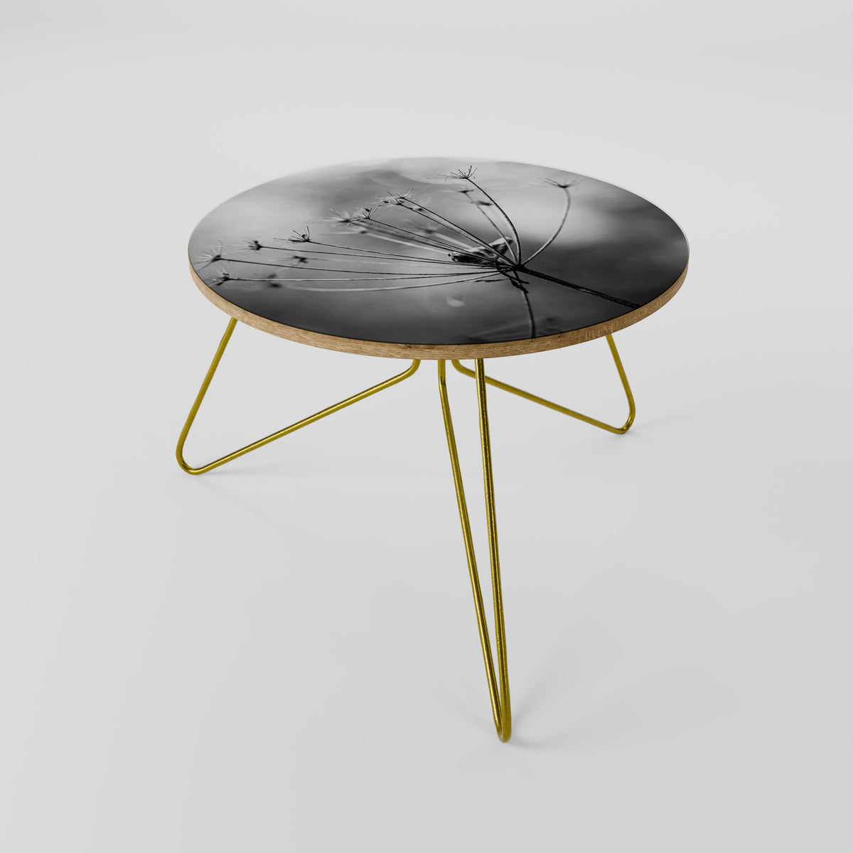 MINIMALIST BLOOM Coffee Table