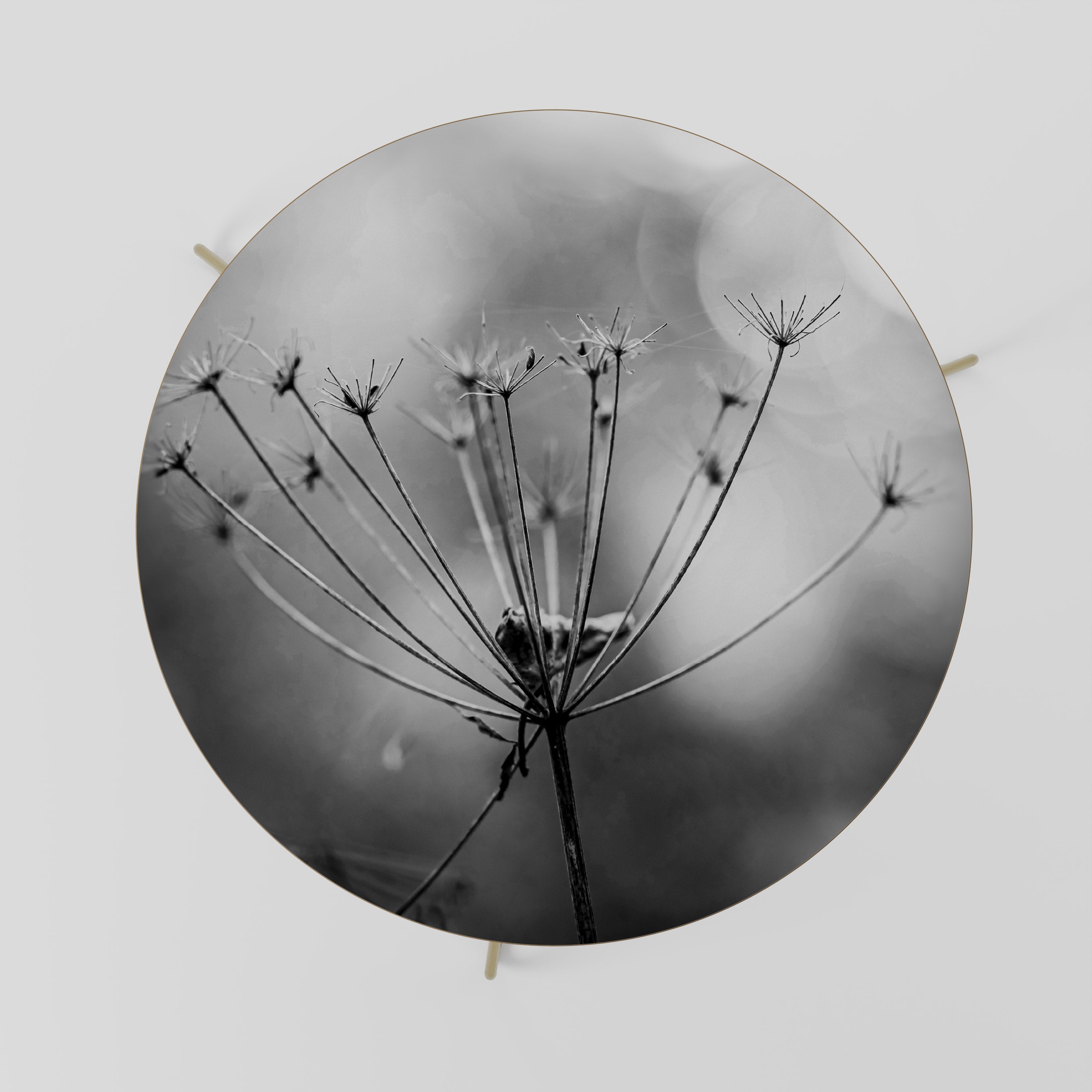 Table basse MINIMALISTE BLOOM 69