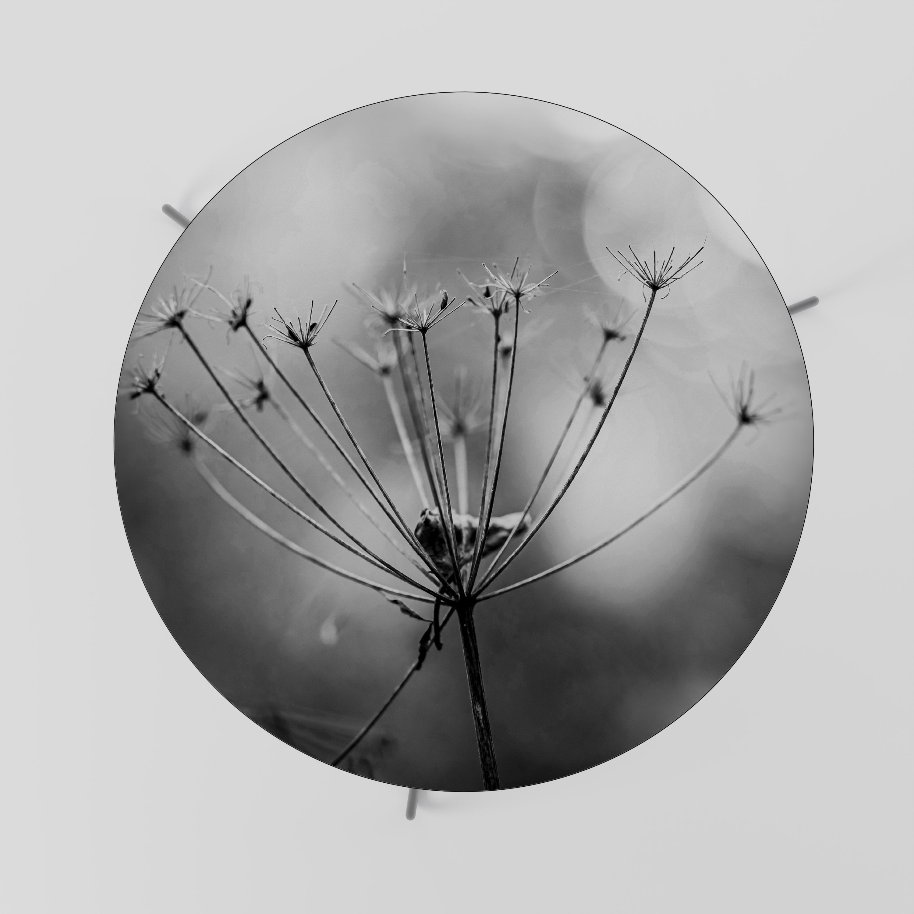 Table basse MINIMALISTE BLOOM 69