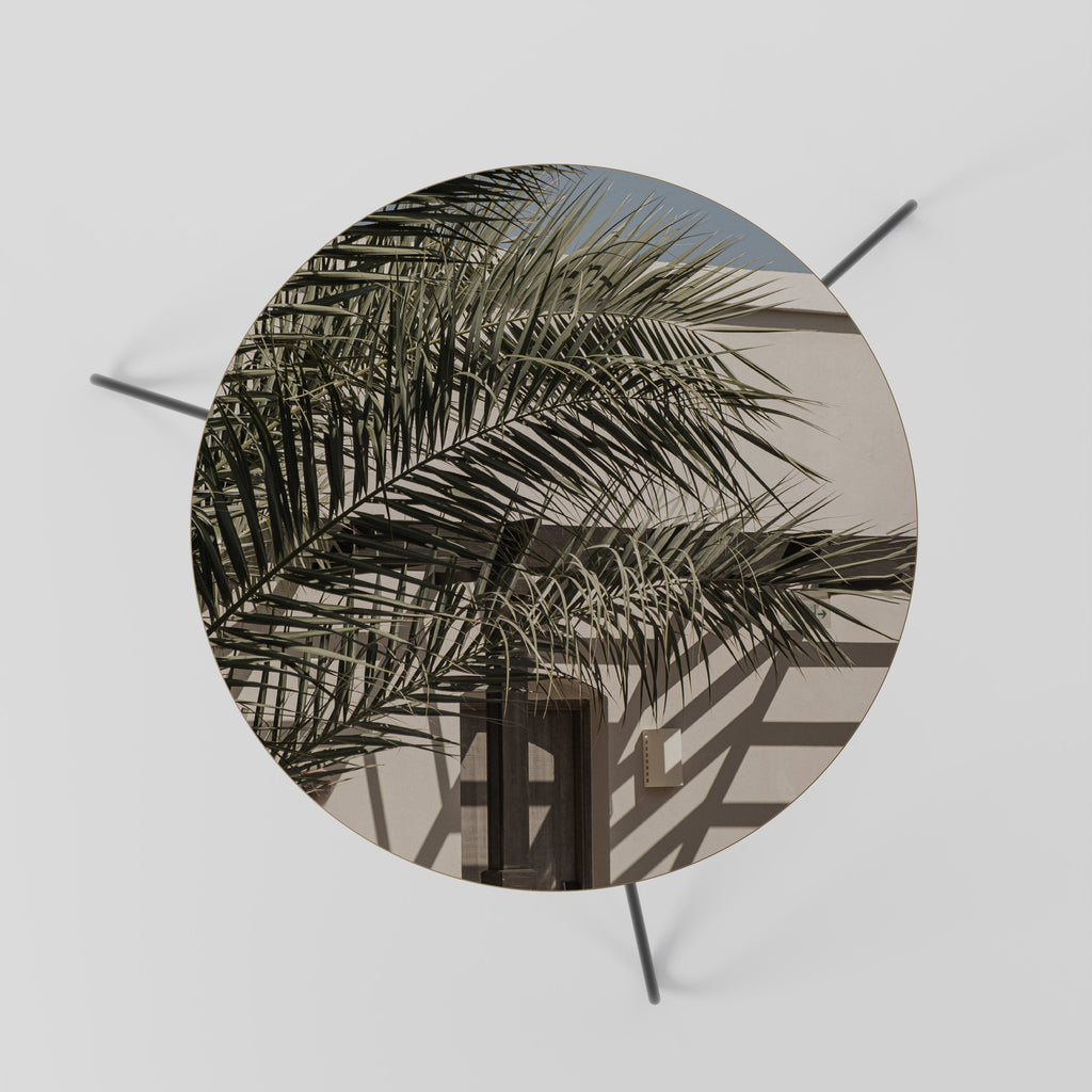 PALM SHADOW DANCE Coffee Table 60