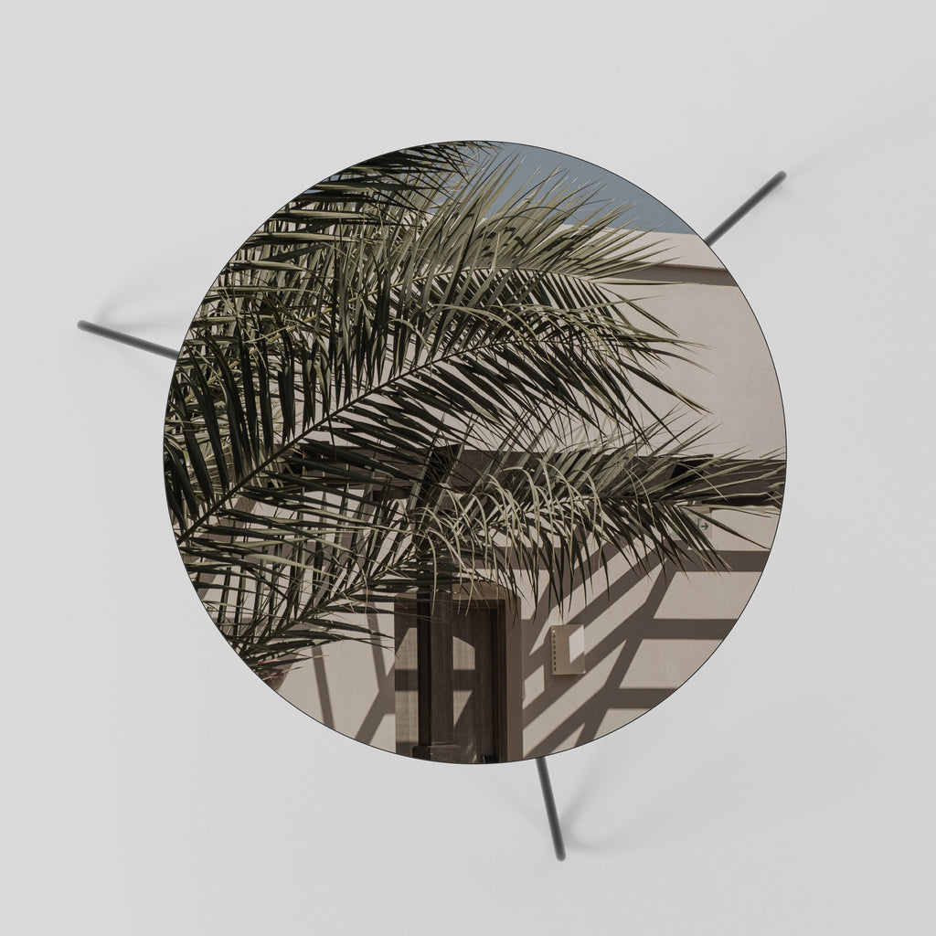 PALM SHADOW DANCE Coffee Table 60