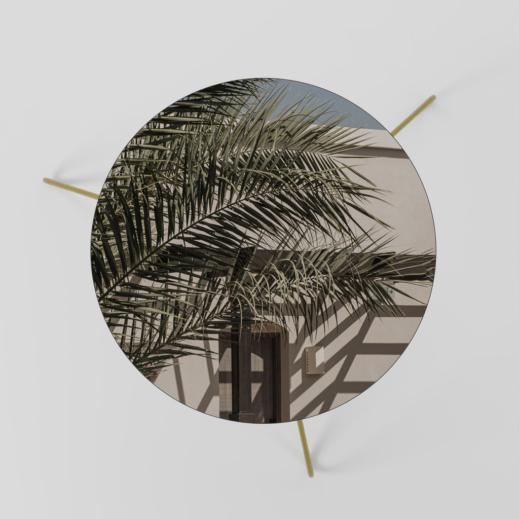 PALM SHADOW DANCE Coffee Table 60