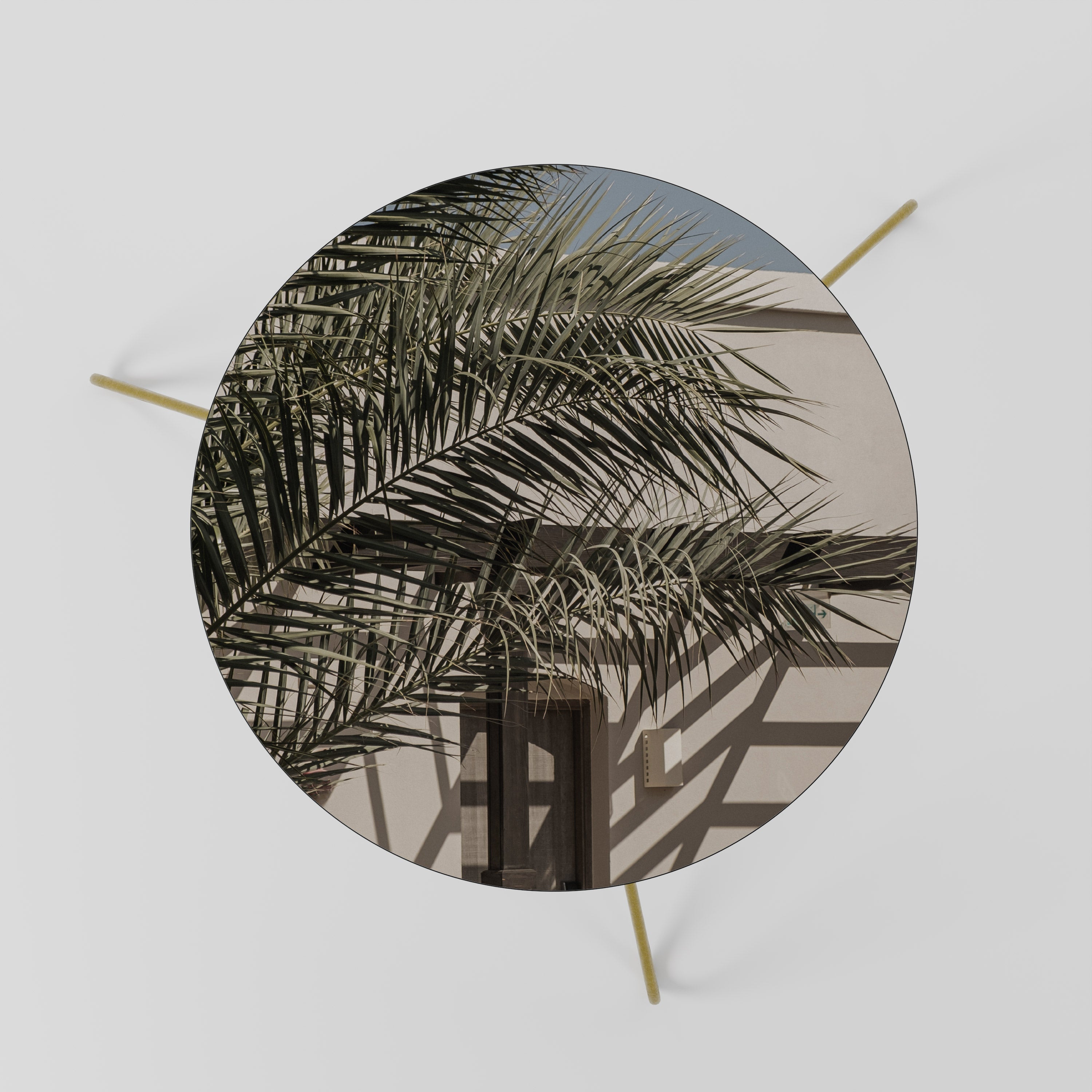 PALM SHADOW DANCE Coffee Table 60