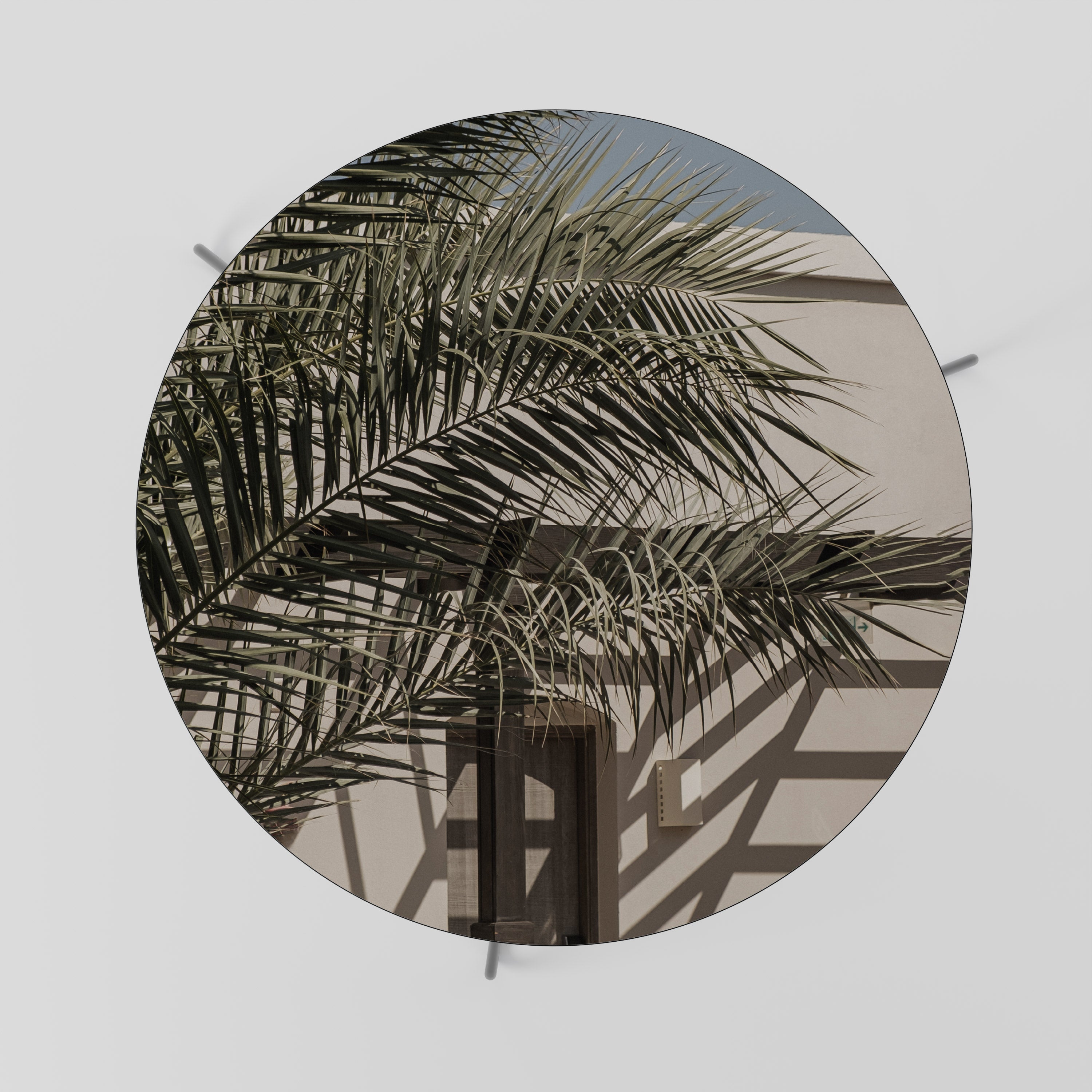 Table basse PALM SHADOW DANCE 69