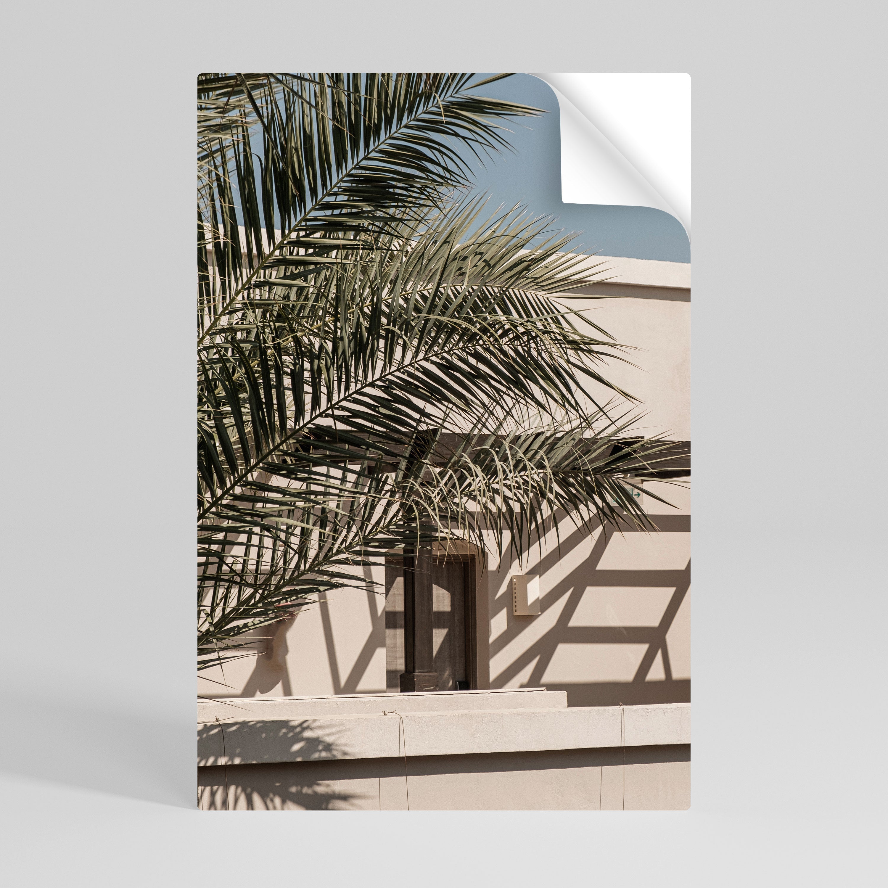 Affiche verticale autocollante « PALM SHADOW DANCE »