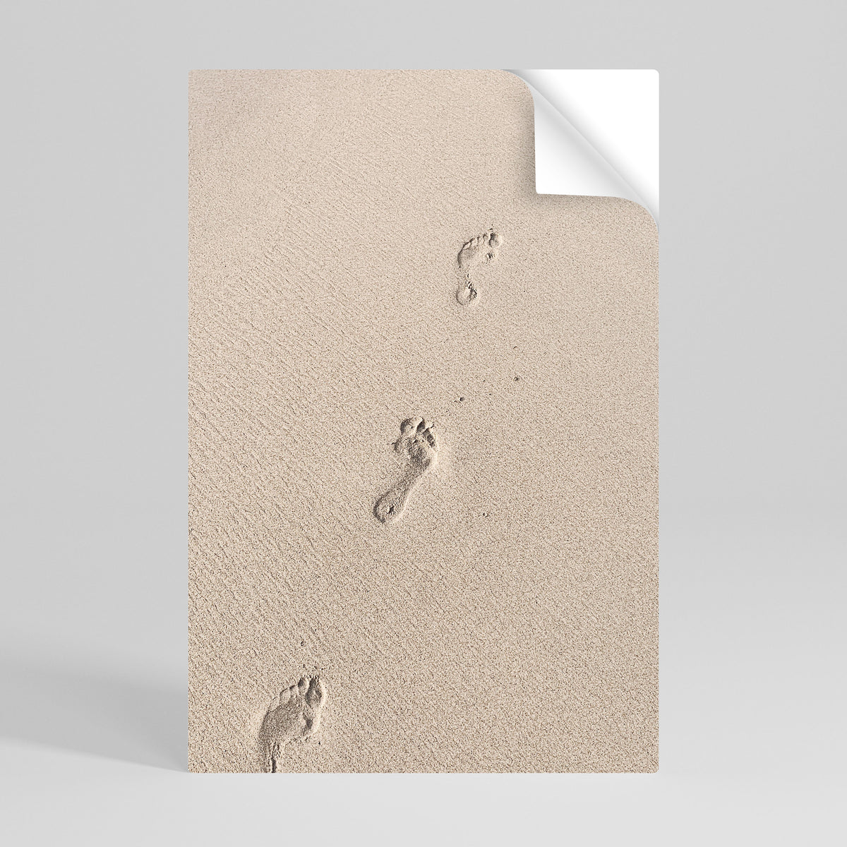 BEACH BOUND PATHWAYS Peel and Stick Vertical Poster