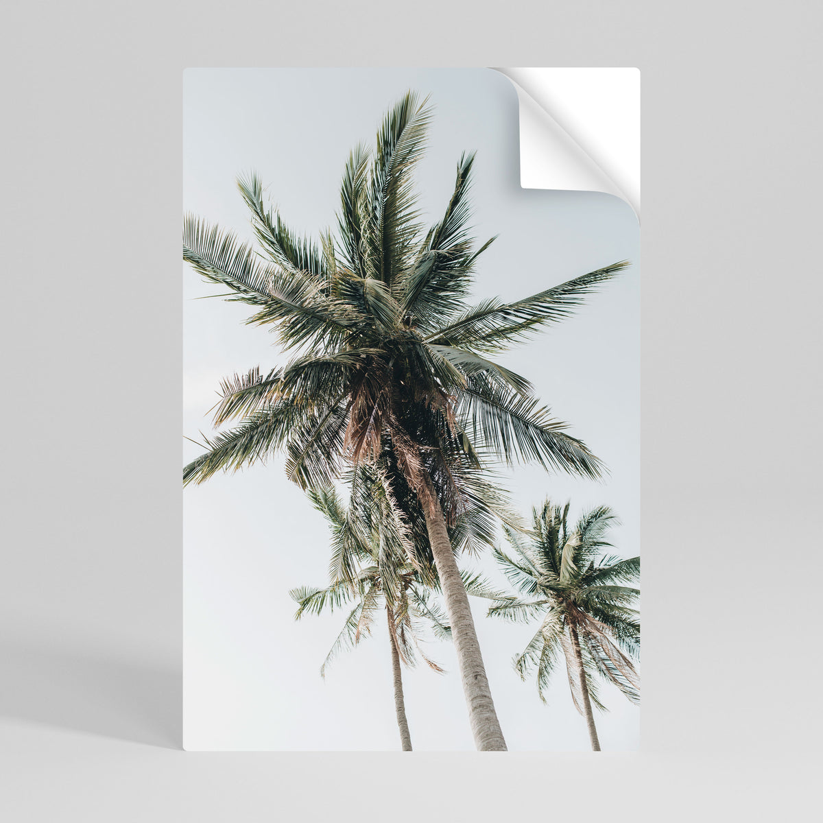 PALM PARADISE SIGHT Peel and Stick Vertical Poster