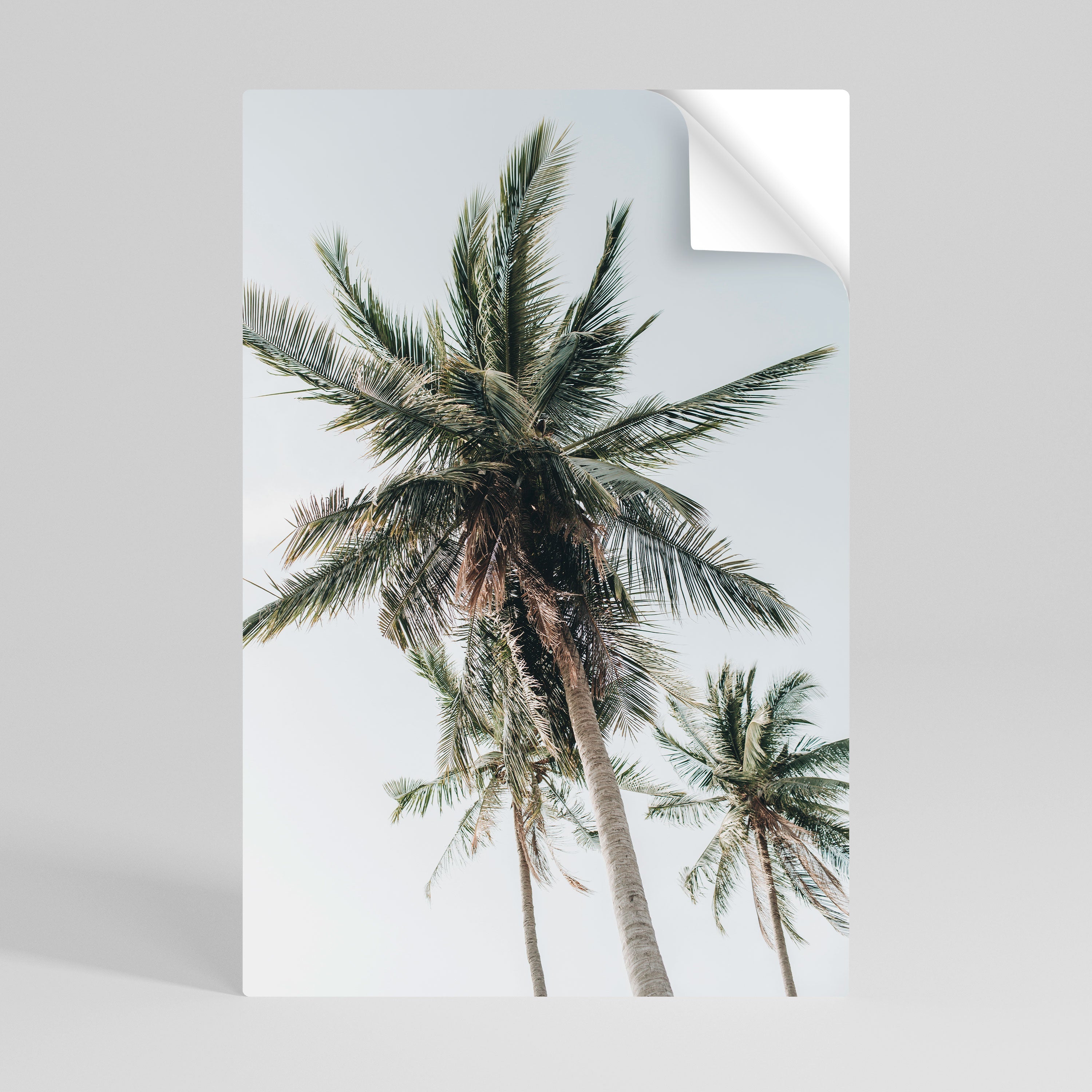 Affiche verticale autocollante « PALM PARADISE SIGHT »