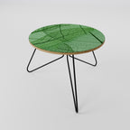 VEINS OF LIFE Coffee Table