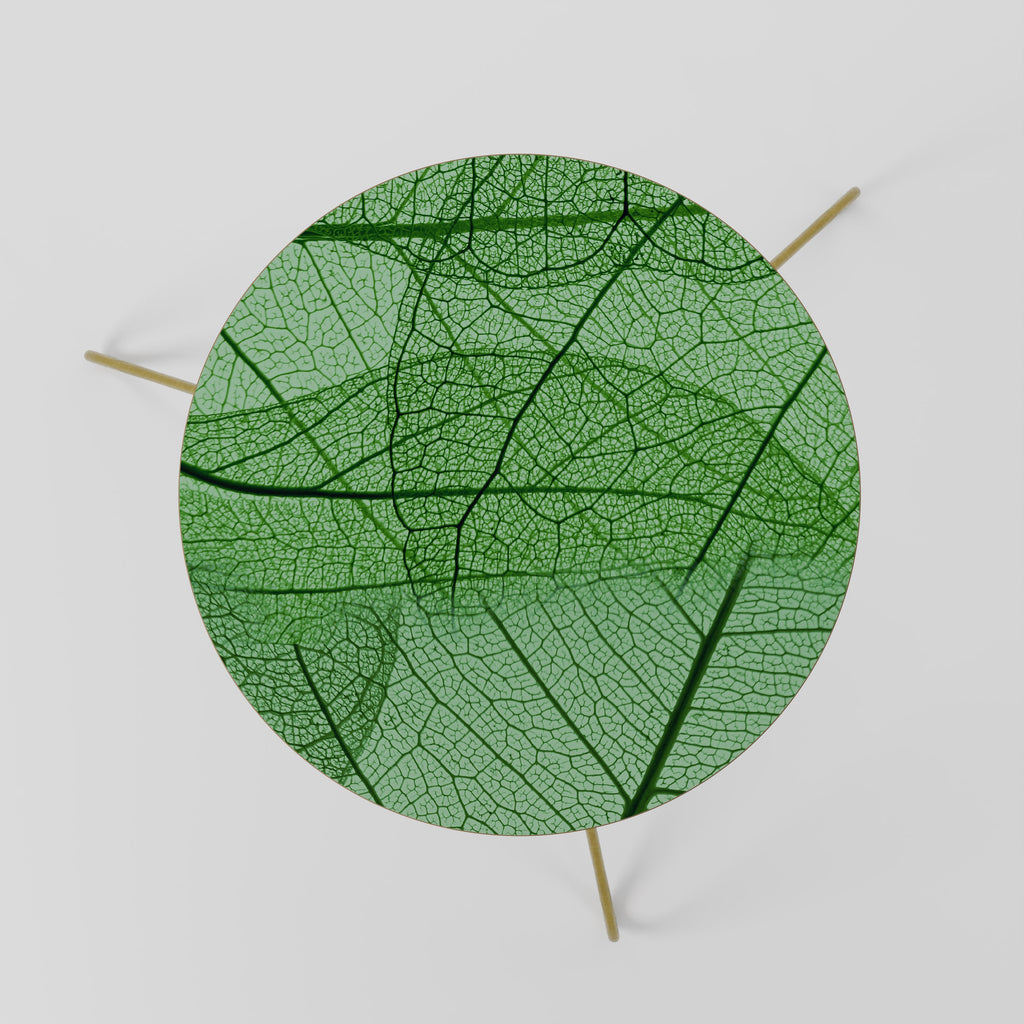 VEINS OF LIFE Coffee Table 60