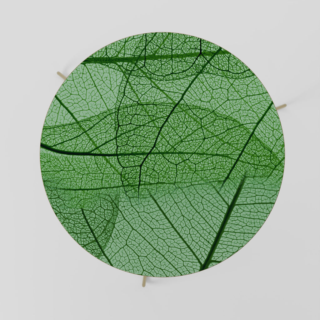 Table basse VEINES DE VIE 69