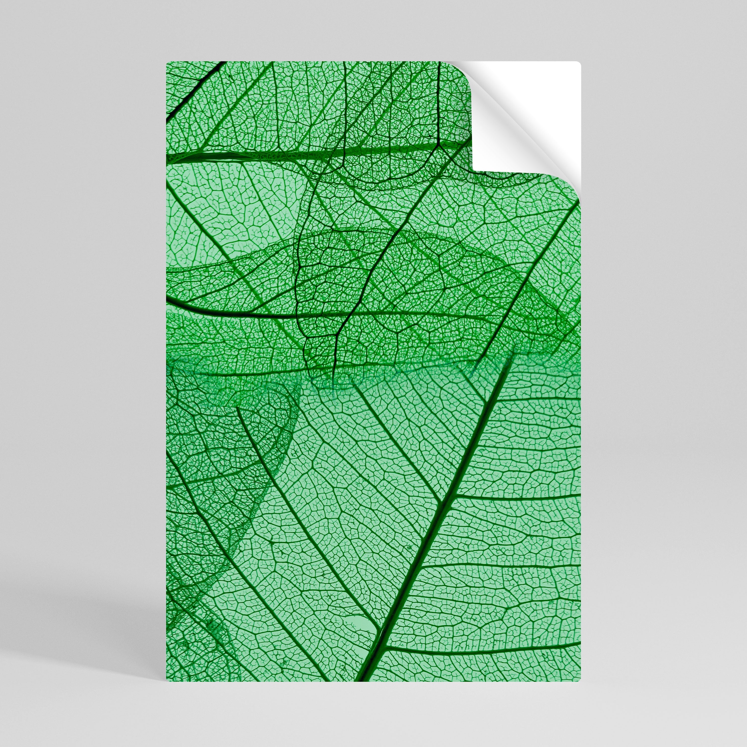 Affiche verticale autocollante VEINES DE LA VIE