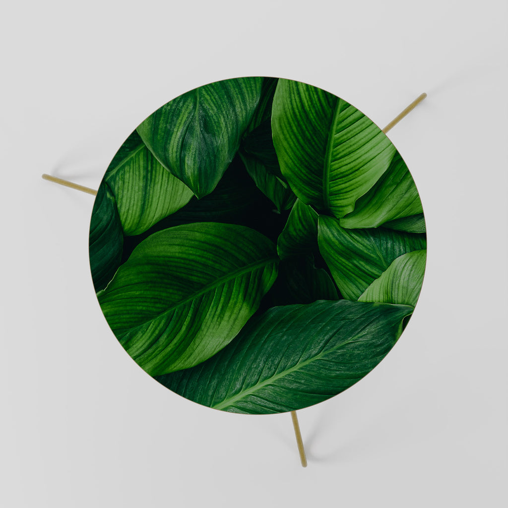 VIBRANT LEAFY EMBRACE Coffee Table 60