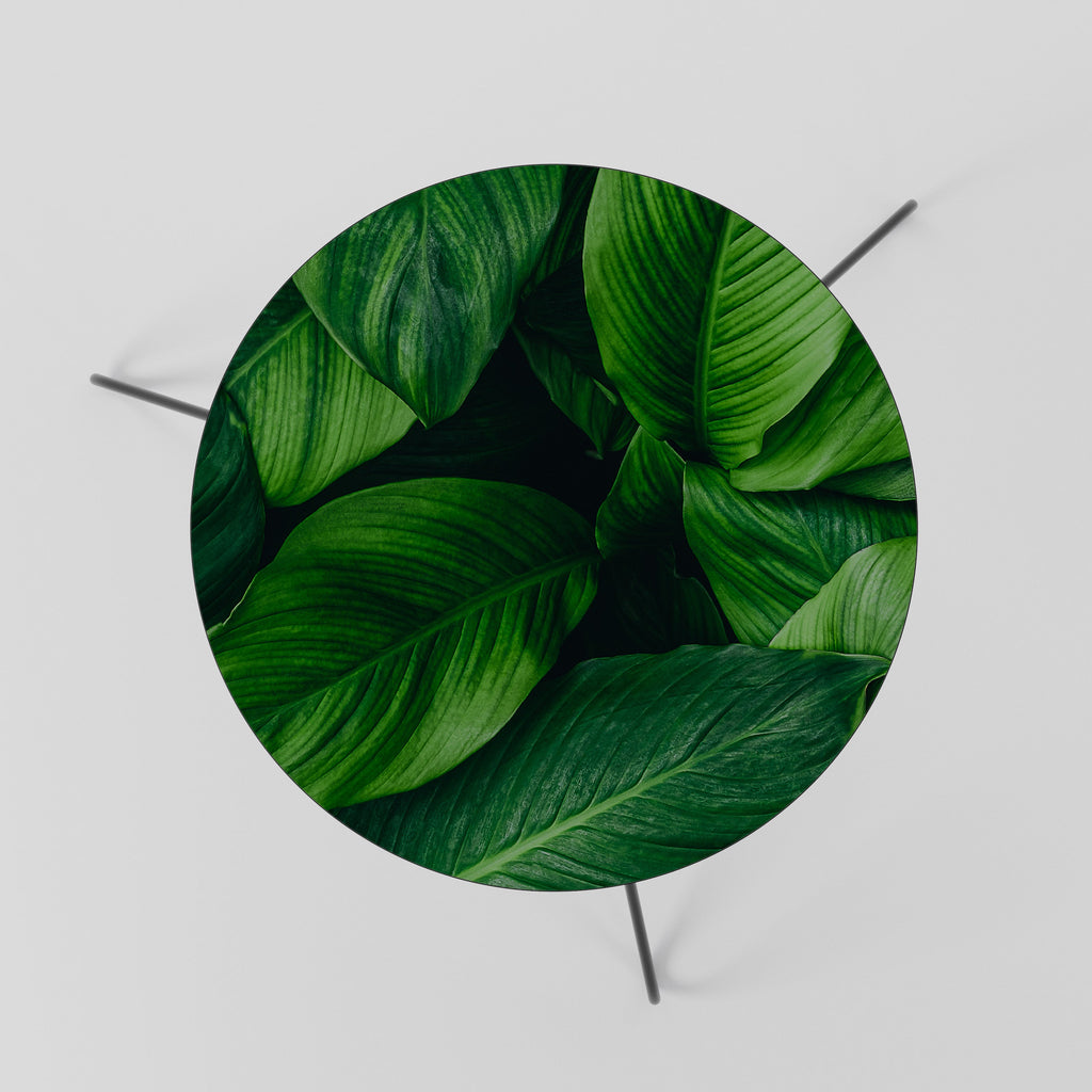 VIBRANT LEAFY EMBRACE Coffee Table 60